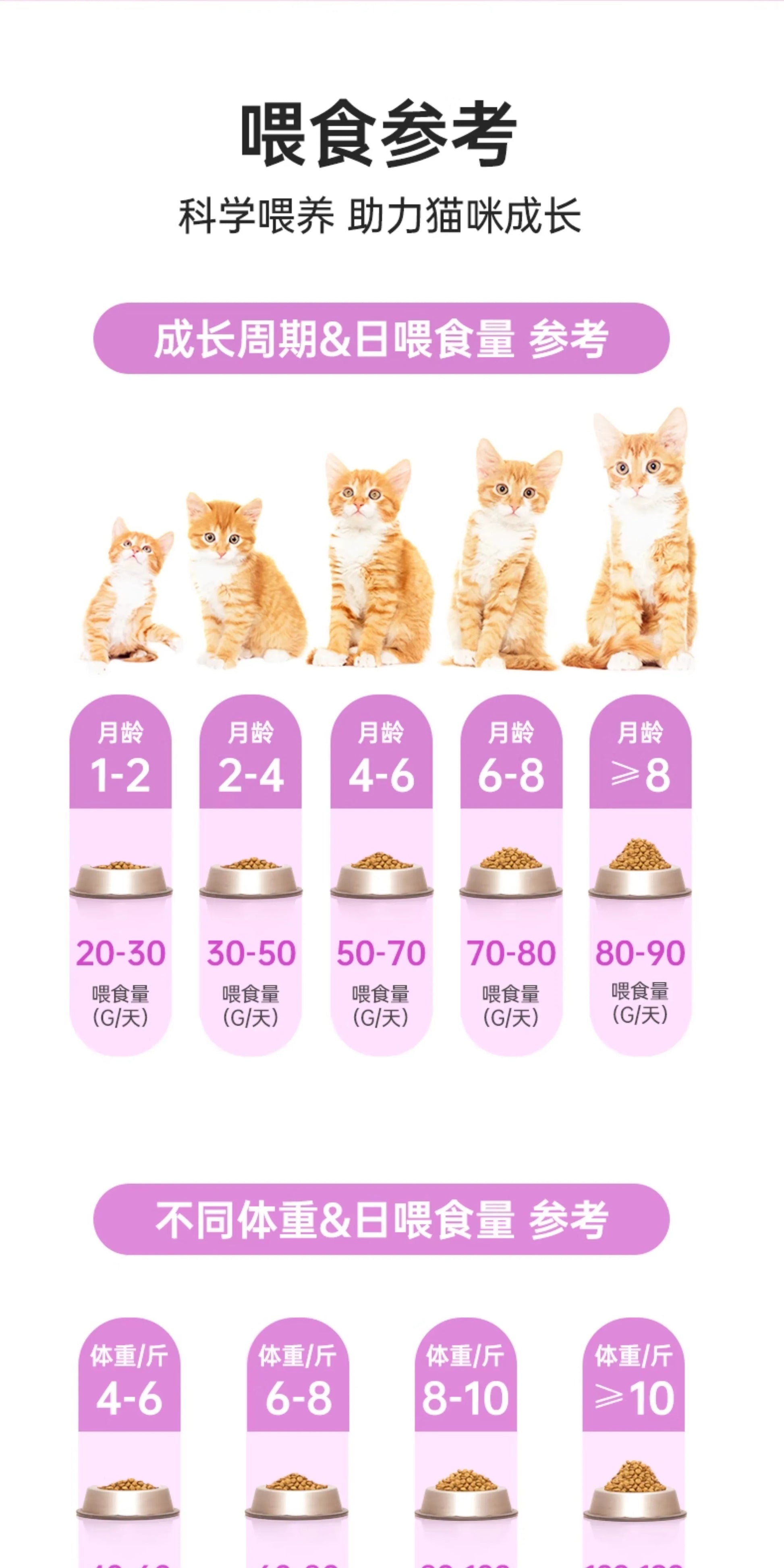 朗仕猫粮500g海洋鱼味成猫幼猫粮通用型暹罗英短鲜肉粮1斤