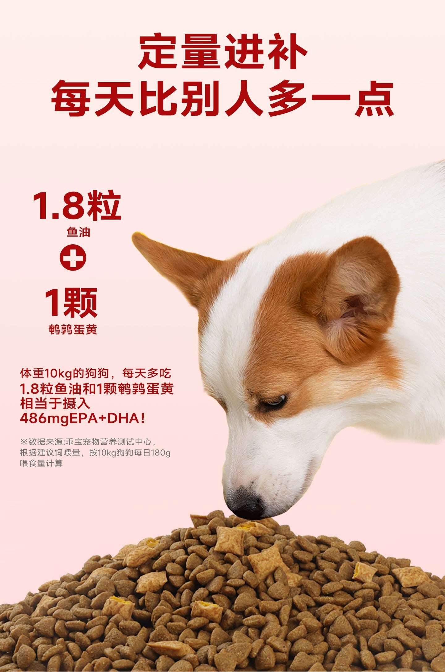 麦富迪狗粮全价鲜肉夹心泰迪小型幼犬成犬通用型全期双拼狗粮2kg