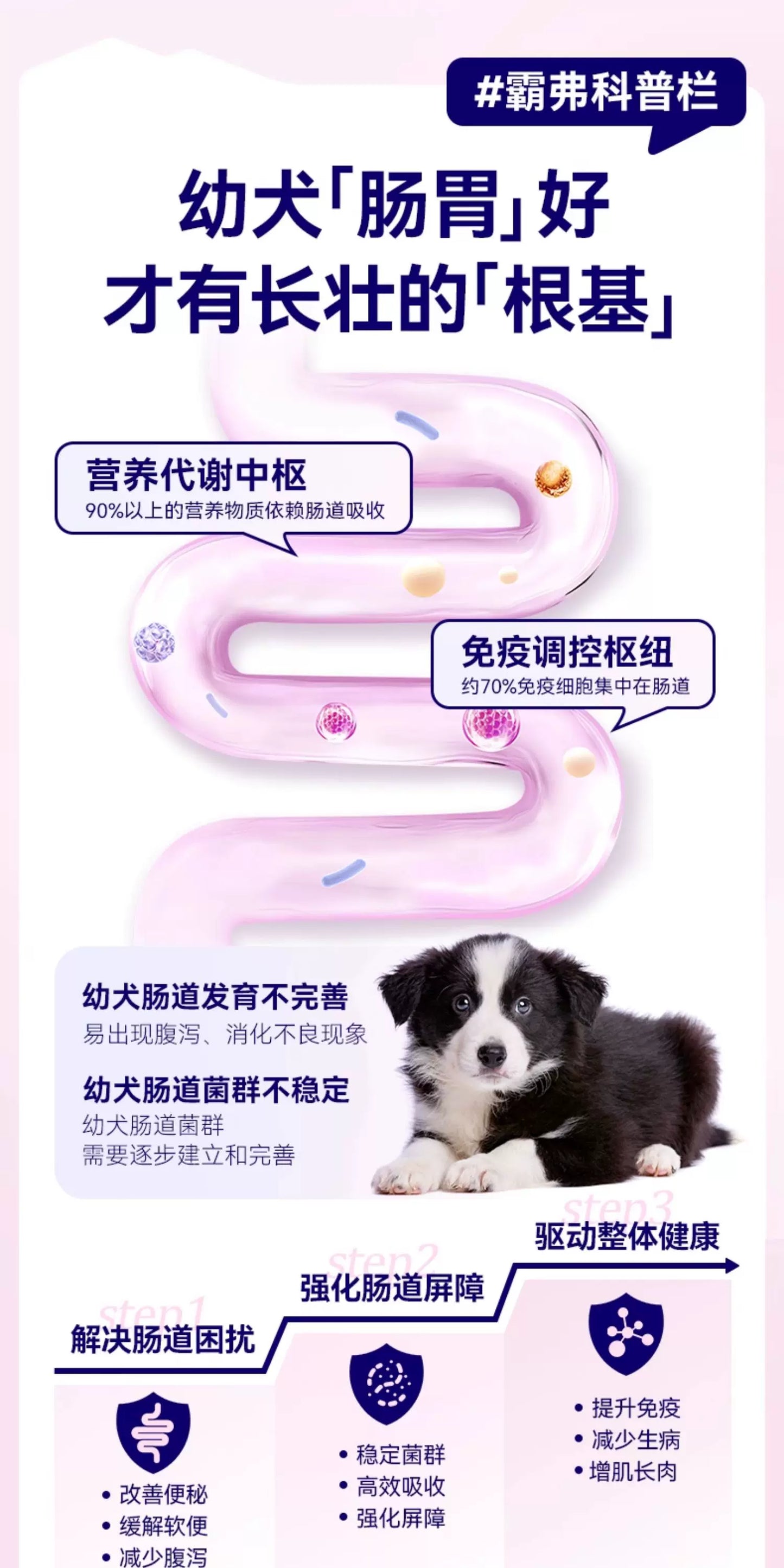 麦富迪barf霸弗狗粮生骨肉主食泰迪比熊柯基小型犬专用奶糕幼犬粮