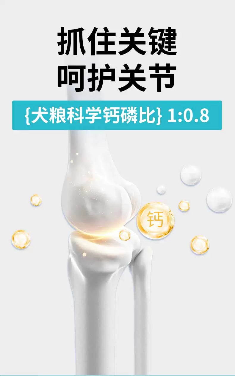 朗仕狗粮1.5kg双重靓毛小型犬成犬专用粮泰迪博美贵宾柯基犬粮