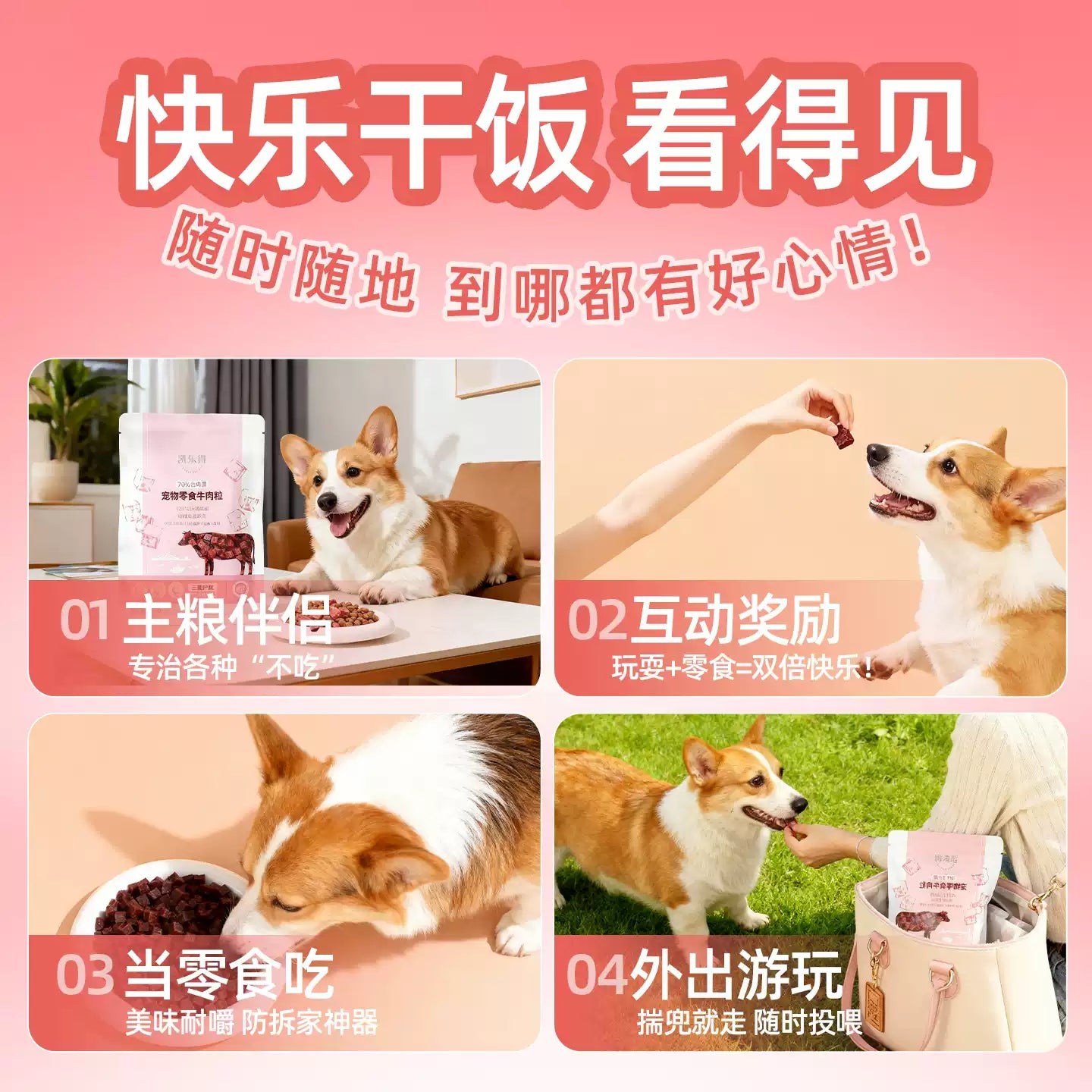 朗仕狗狗零食牛肉粒小中型犬成犬幼犬训犬奖励磨牙棒宠物零食200g