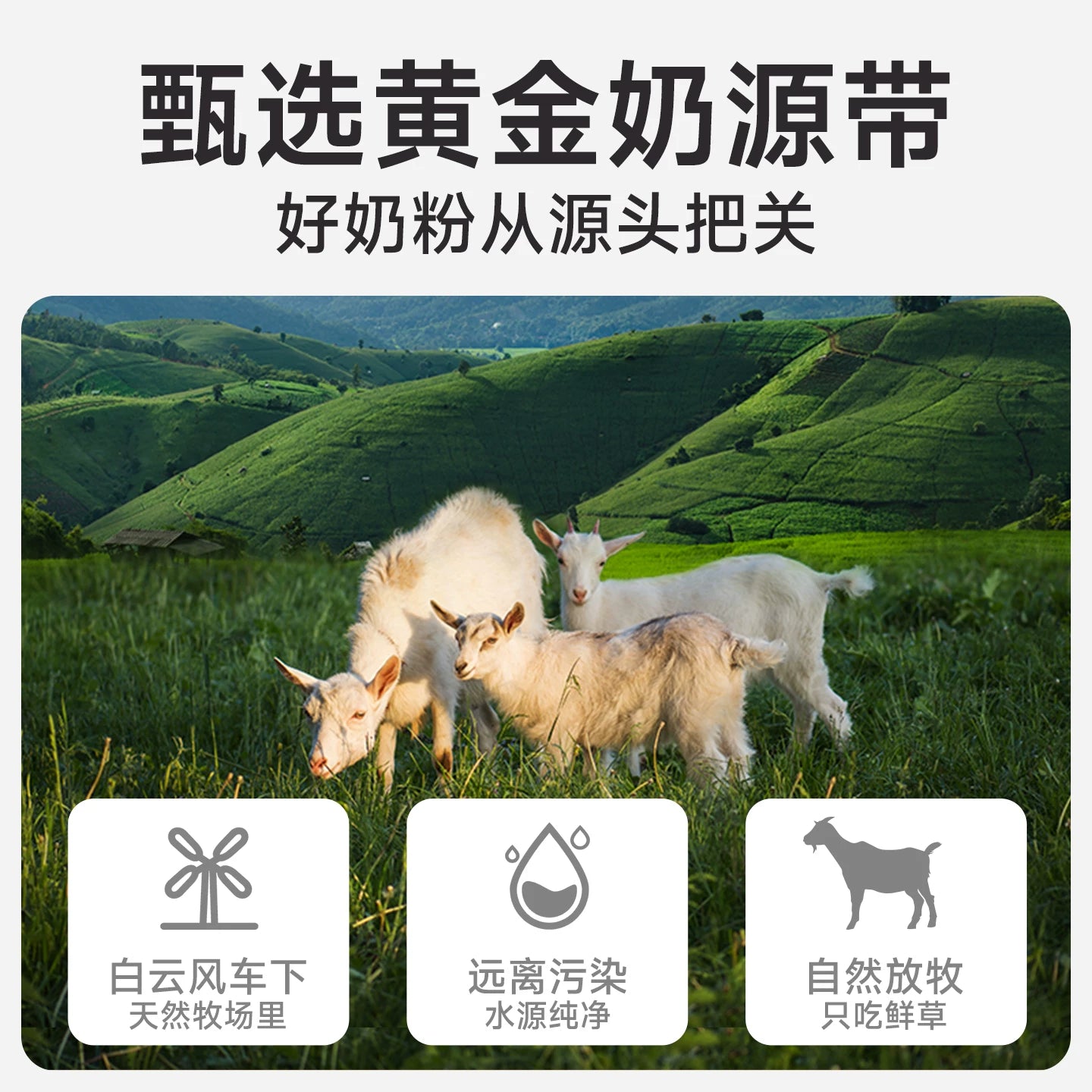 麦富迪狗狗零食宠物羊奶粉犬用哺乳期幼犬奶粉通用泰迪金毛营养品