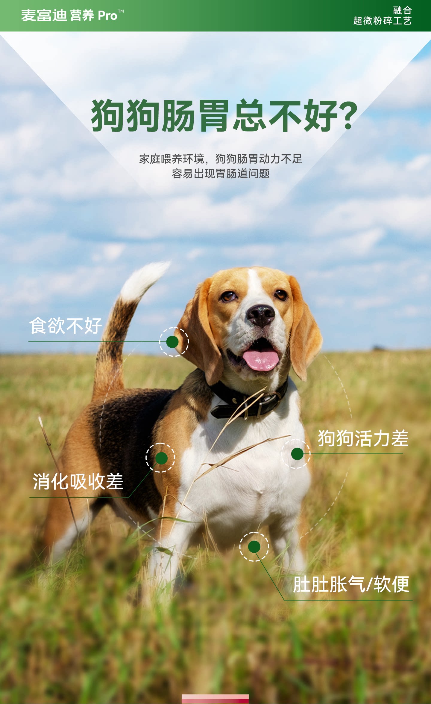 麦富迪狗粮营养pro成犬幼犬粮小型犬鲜肉益生元全期通用天然粮