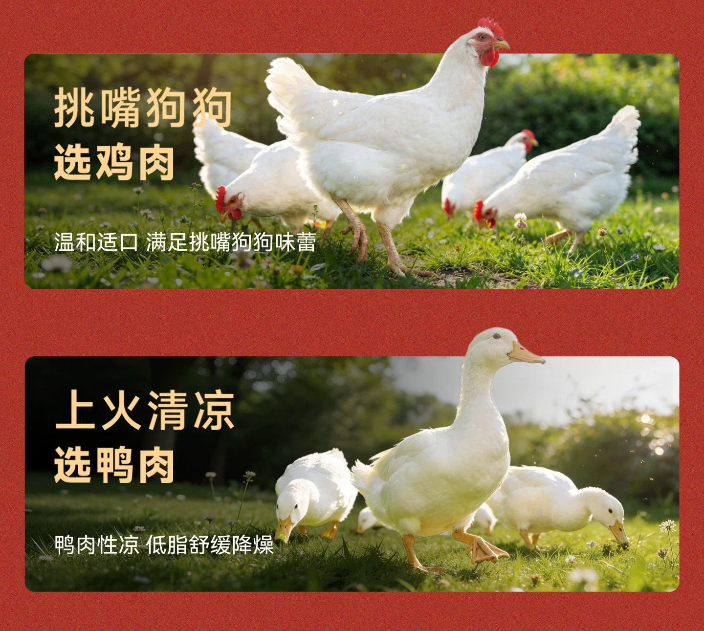 麦富迪狗粮原生鲜肉粮鸭肉梨通用成犬幼犬粮泪痕管理小型犬狗粮