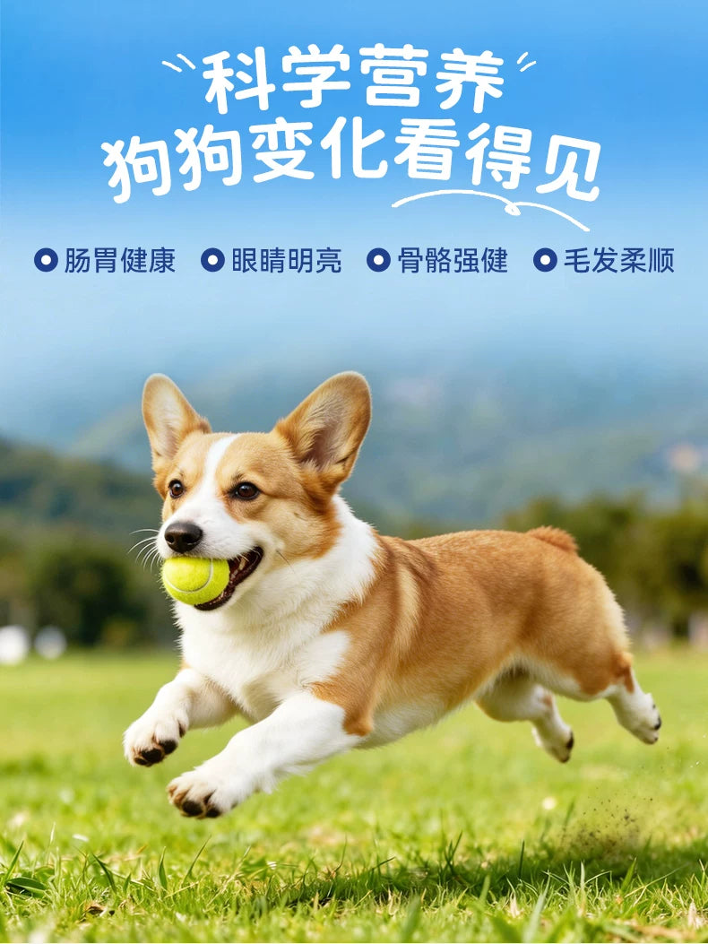 朗仕鲜肉双拼狗粮鸭肉梨冻干成犬幼犬通用型泰迪比熊小型犬专用粮