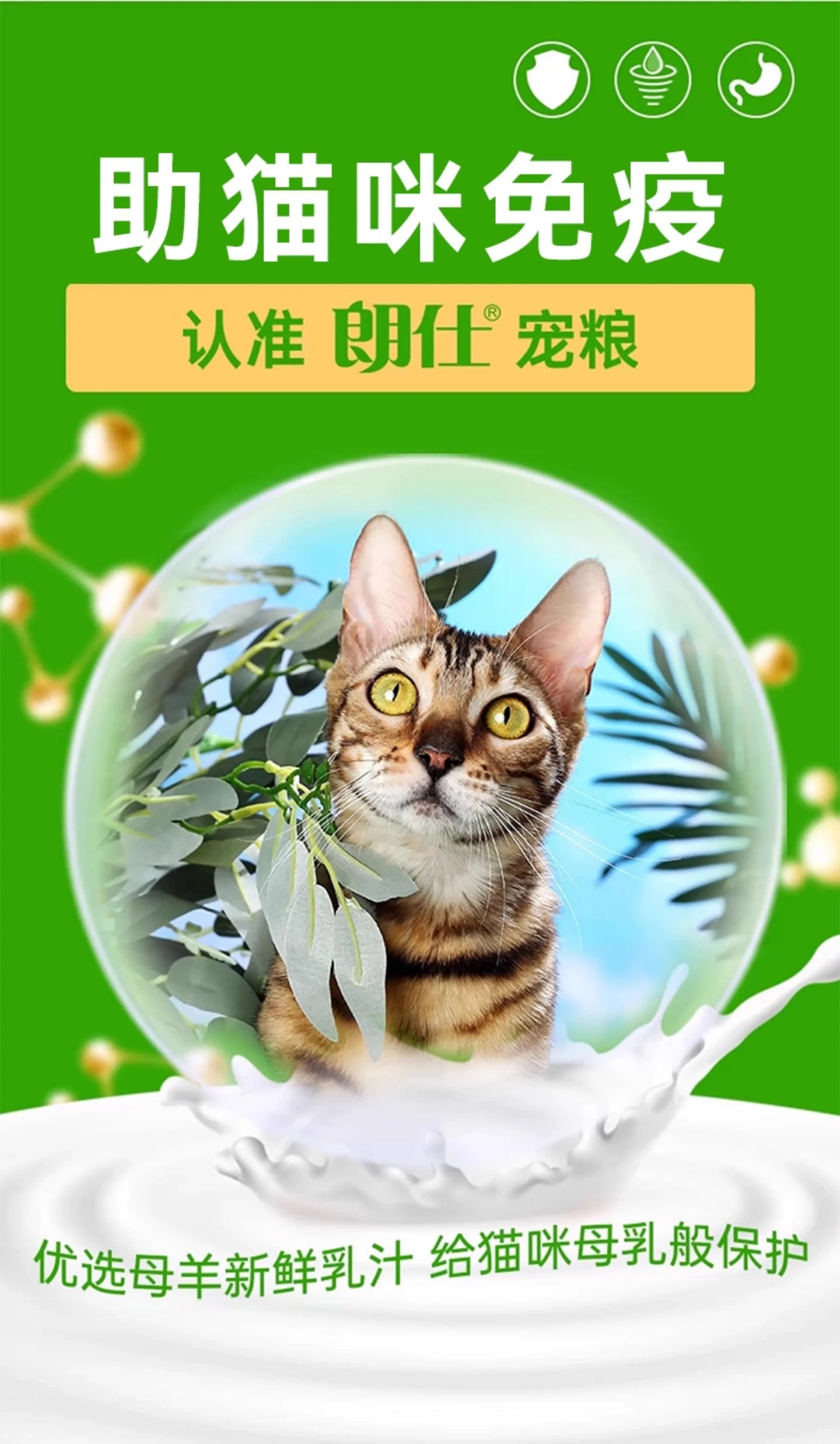 朗仕猫粮幼猫成猫10kg品牌排行榜英短美短蓝猫价鲜肉全阶段20斤装