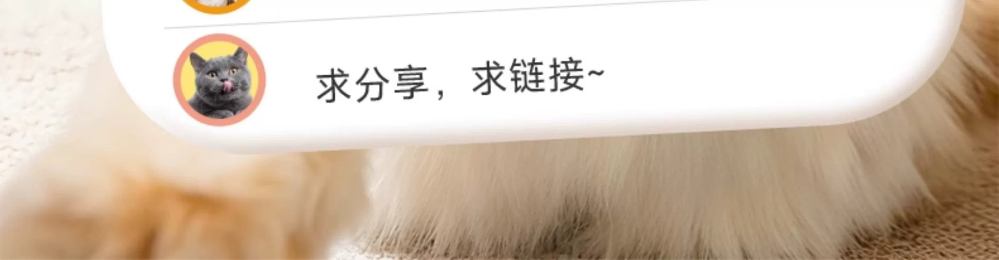 【新品】麦富迪猫零食super冻干羊奶棒猫草磨牙洁齿营养成幼猫咪