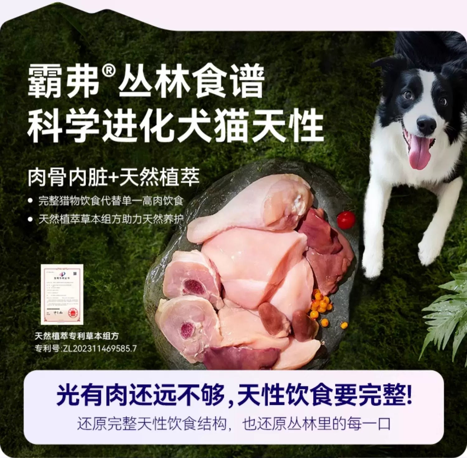 麦富迪barf霸弗狗粮生骨肉主食泰迪比熊柯基小型犬专用奶糕幼犬粮