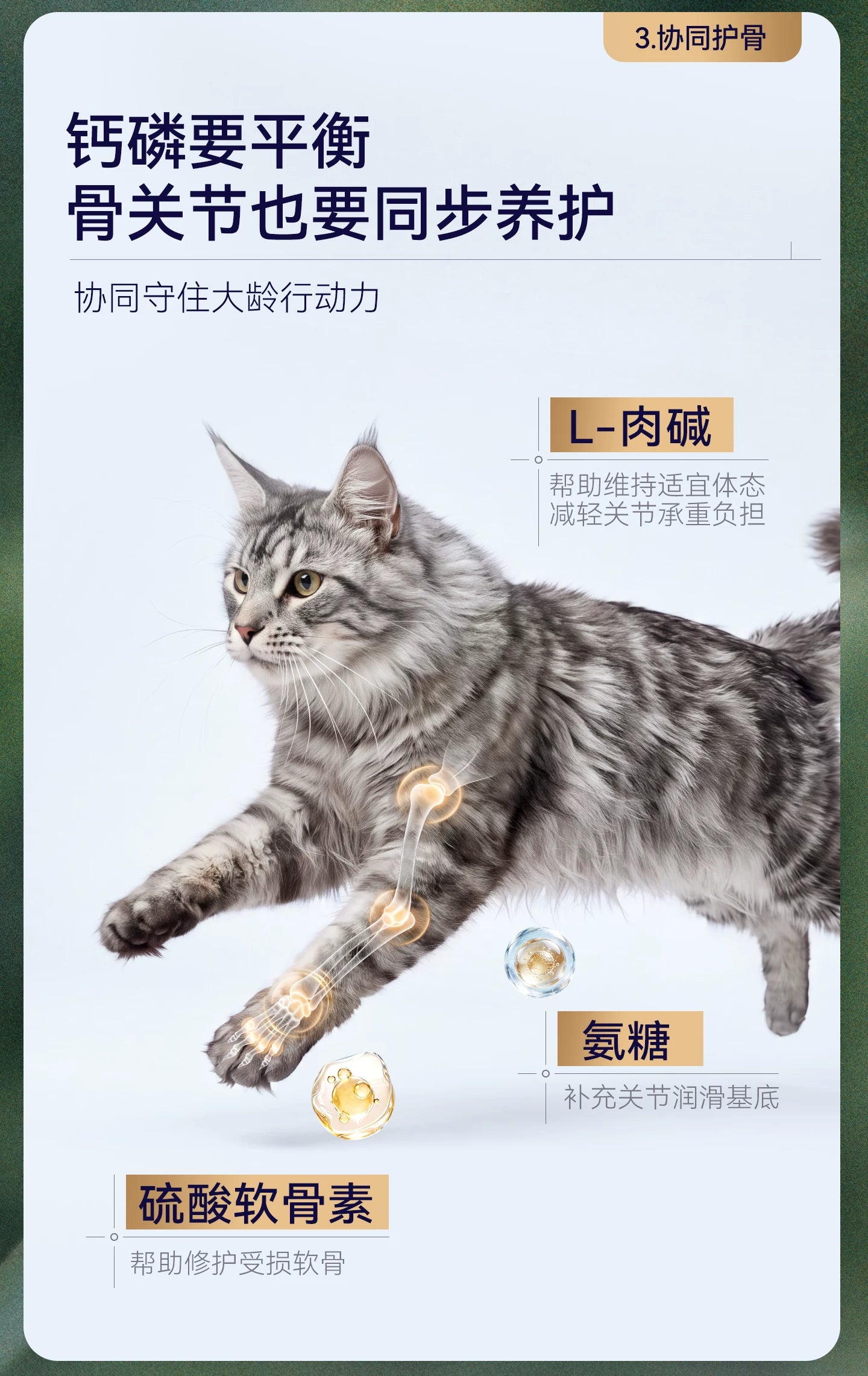 【新品】麦富迪barf霸弗猫粮7岁以上老年猫咪专用生骨肉营养猫粮