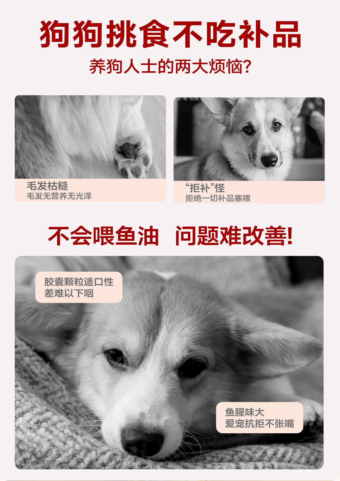 麦富迪狗粮全价鲜肉夹心泰迪小型幼犬成犬通用型全期双拼狗粮2kg