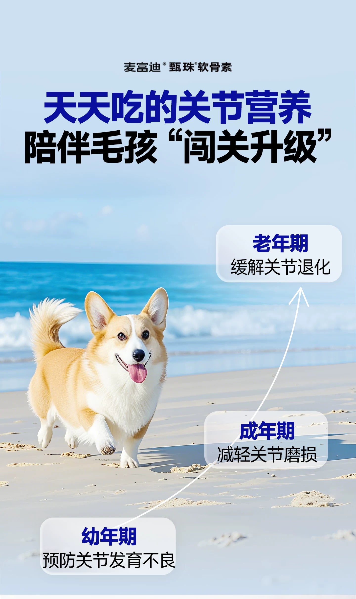 麦富迪甄珠鱼油鲨鱼软骨素宠物狗狗保护关节修复健骨补钙小分子
