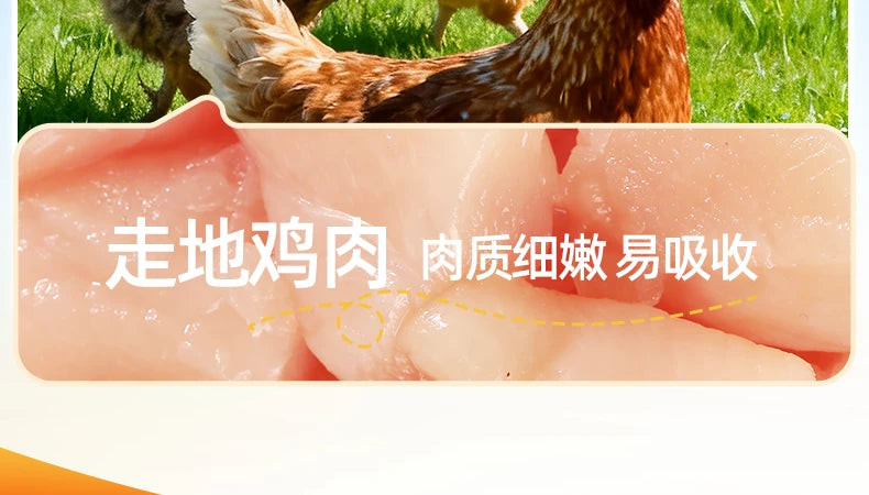 朗仕狗狗火腿肠猫狗零食宠物火腿肠营养长肉小狗香肠小型犬试吃