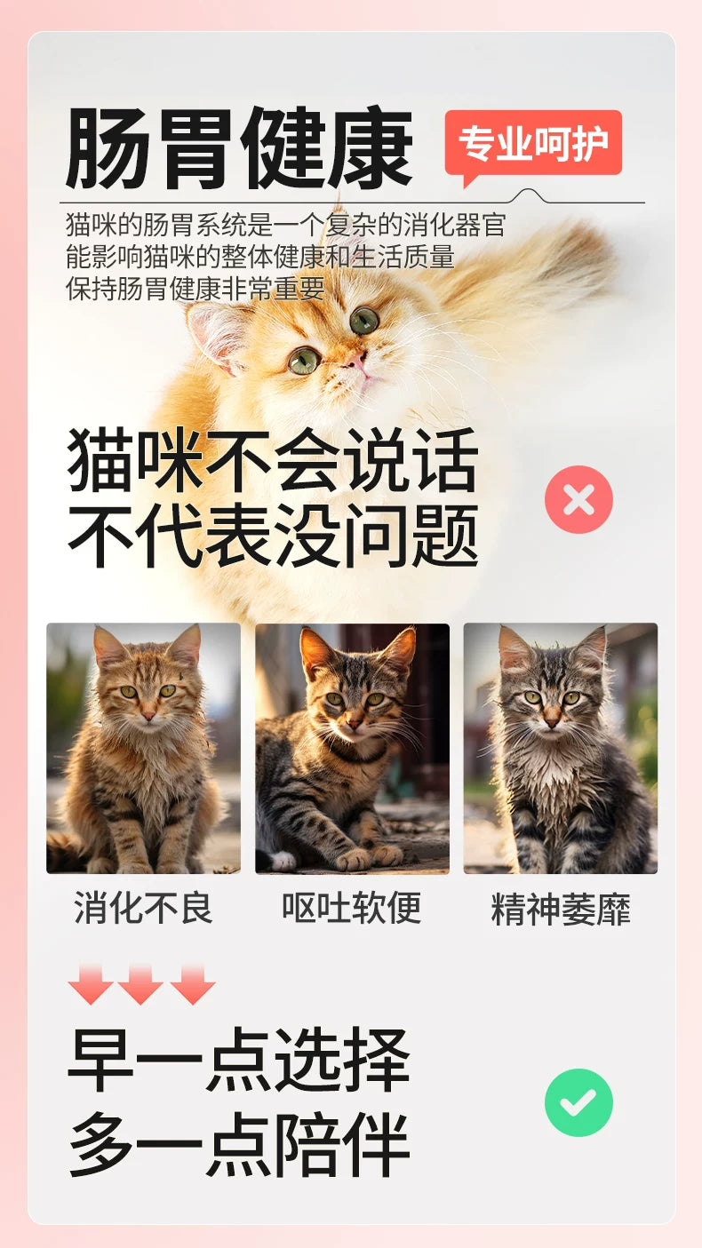 朗仕猫粮幼猫成猫含乳铁蛋白营养英美短布偶专用鲜肉全价旗舰试吃
