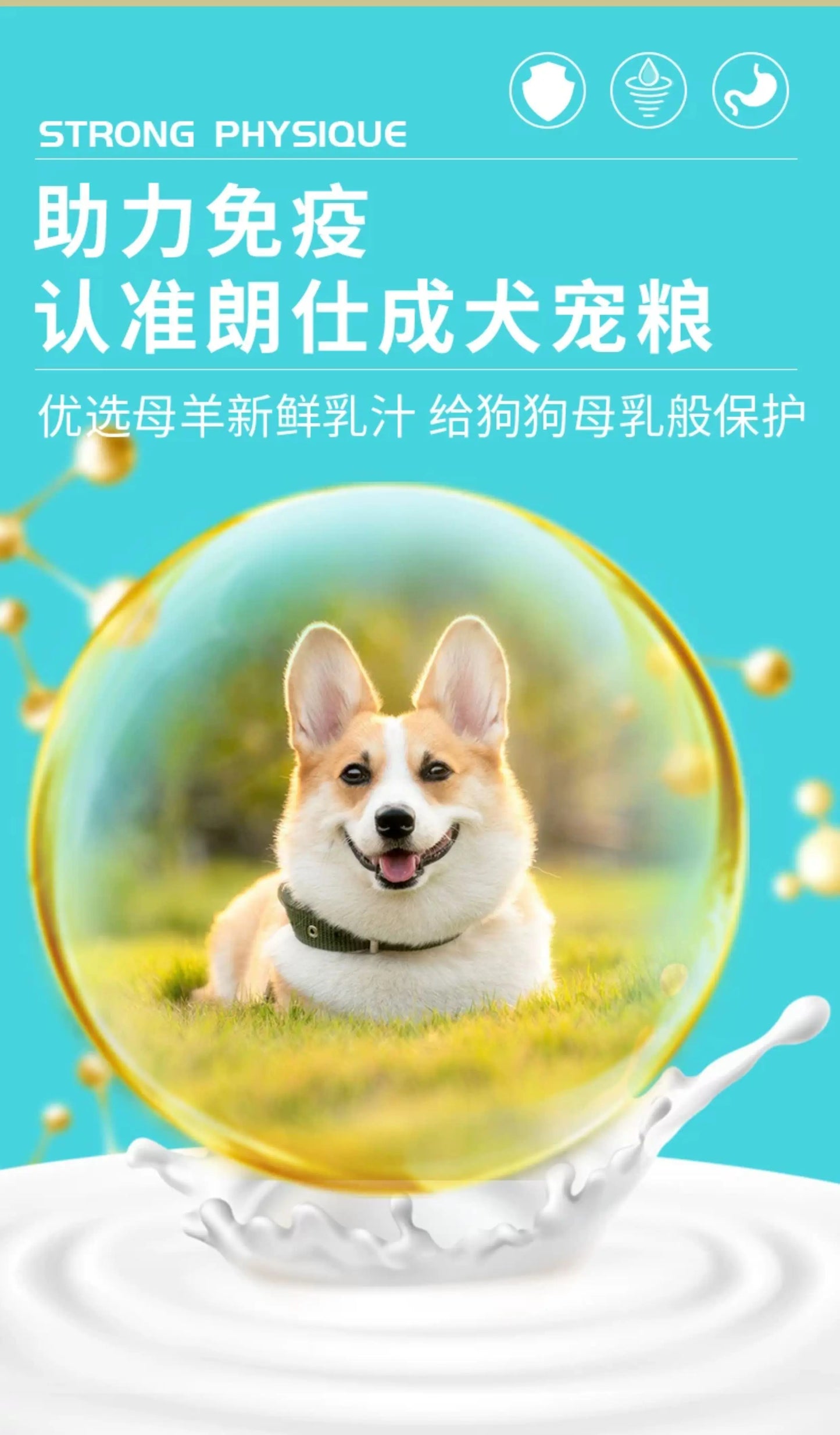 朗仕泰迪狗粮成犬专用小型犬5kg10斤博美比熊贵宾法斗美毛鲜肉粮
