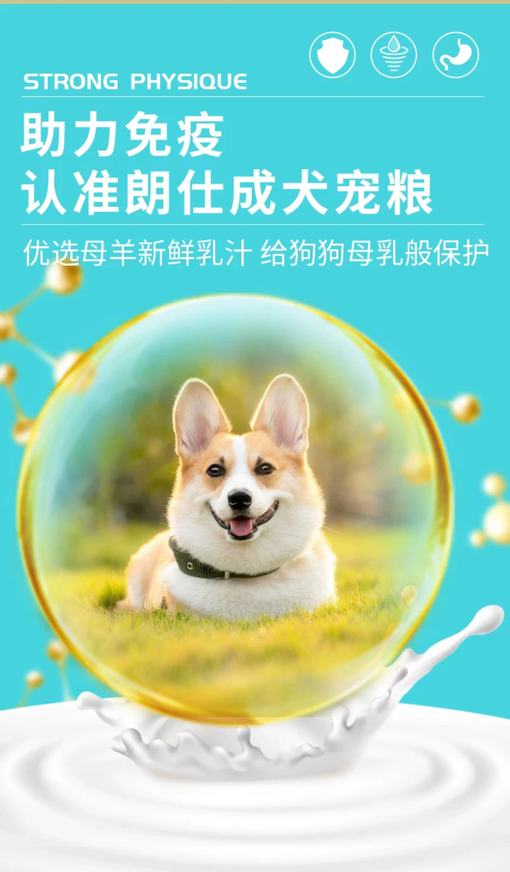朗仕泰迪狗粮成犬专用小型犬5kg10斤博美比熊贵宾法斗美毛鲜肉粮