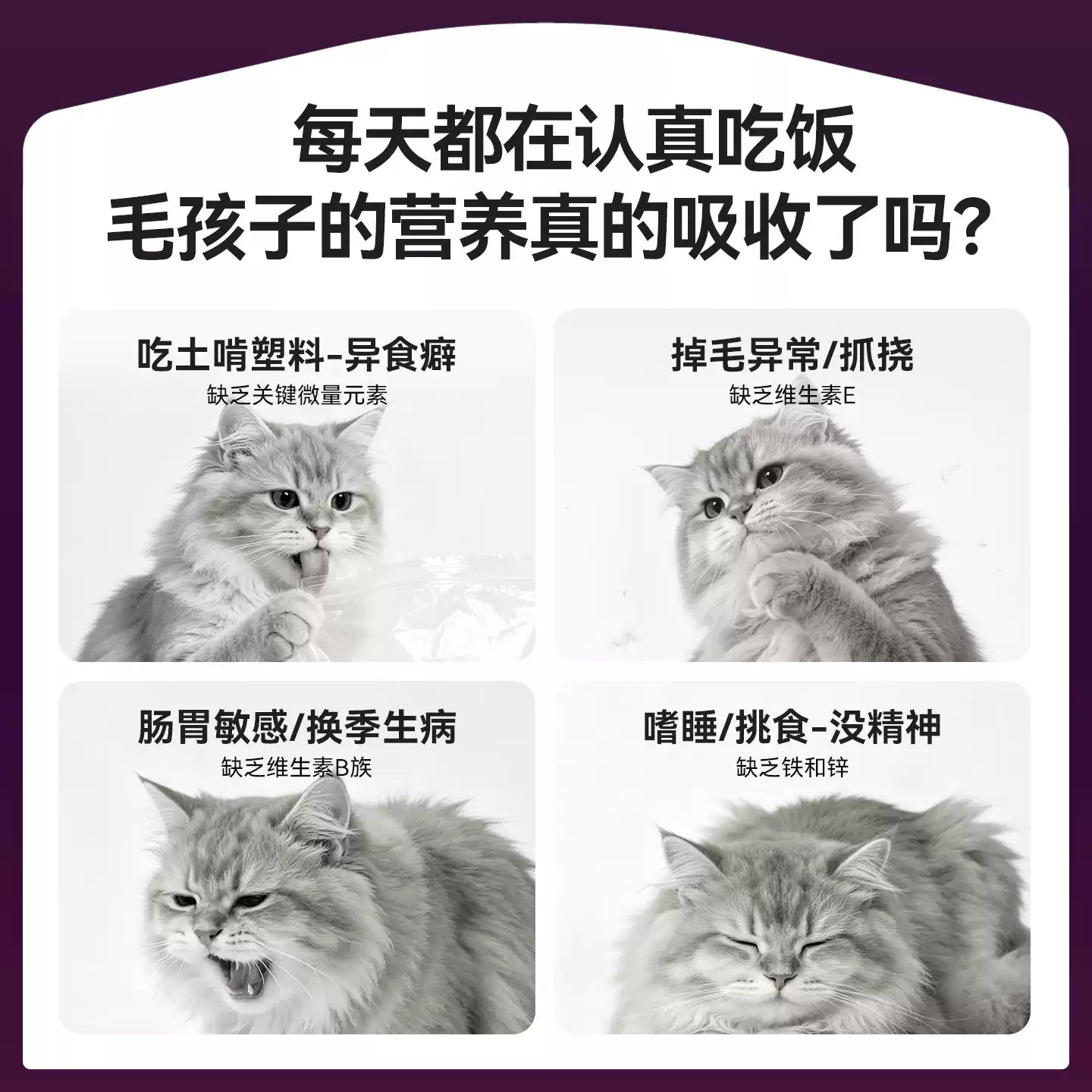【新品首发】麦富迪小橙帽猫咪多维犬用复合维生素冻干营养补充