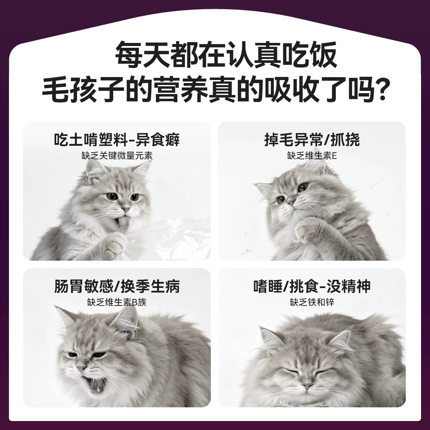 【新品首发】麦富迪小橙帽猫咪多维犬用复合维生素冻干营养补充