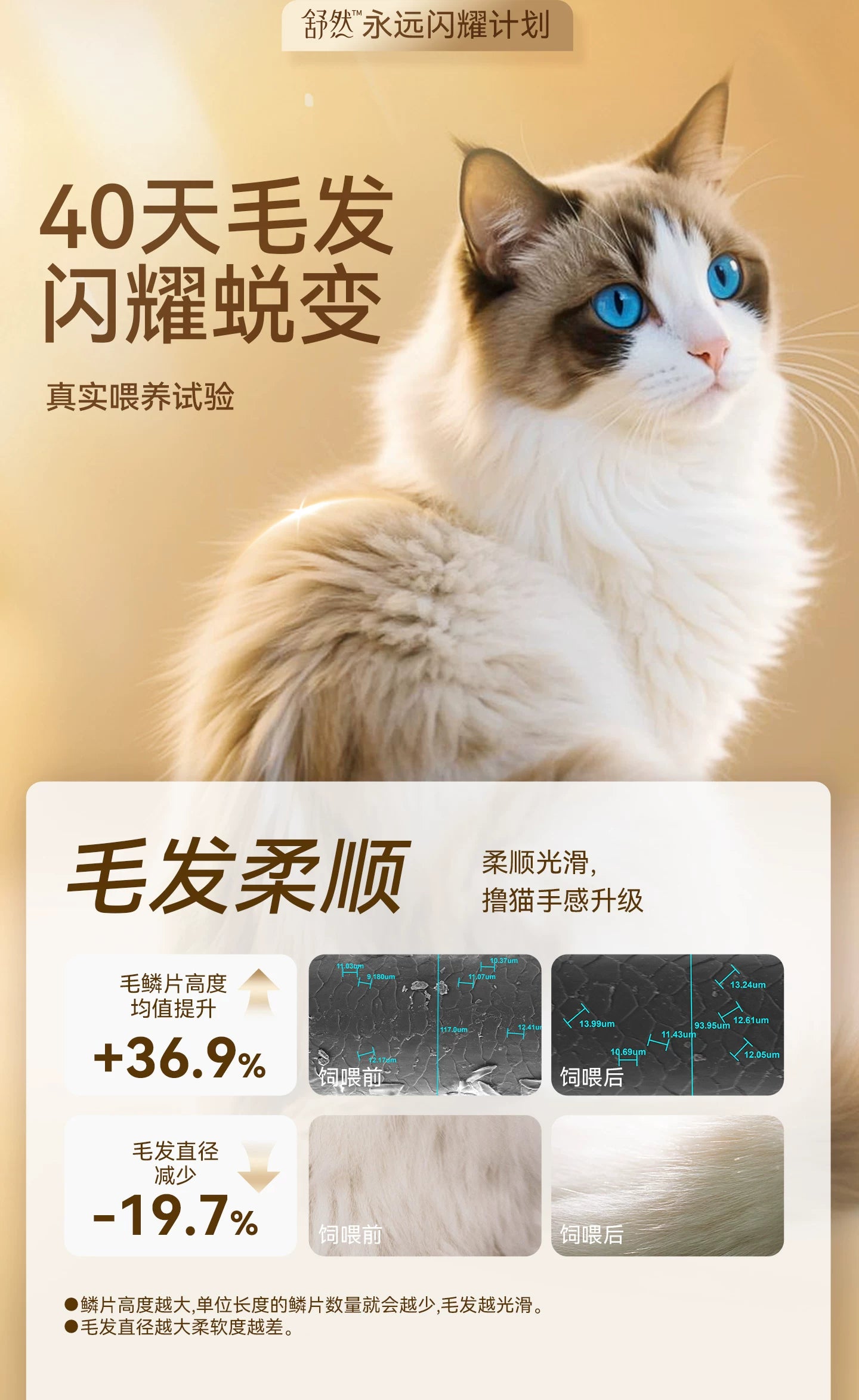 麦富迪舒然鱼油猫粮美毛靓毛添加80%高纯度鱼油成幼猫通用猫粮2kg