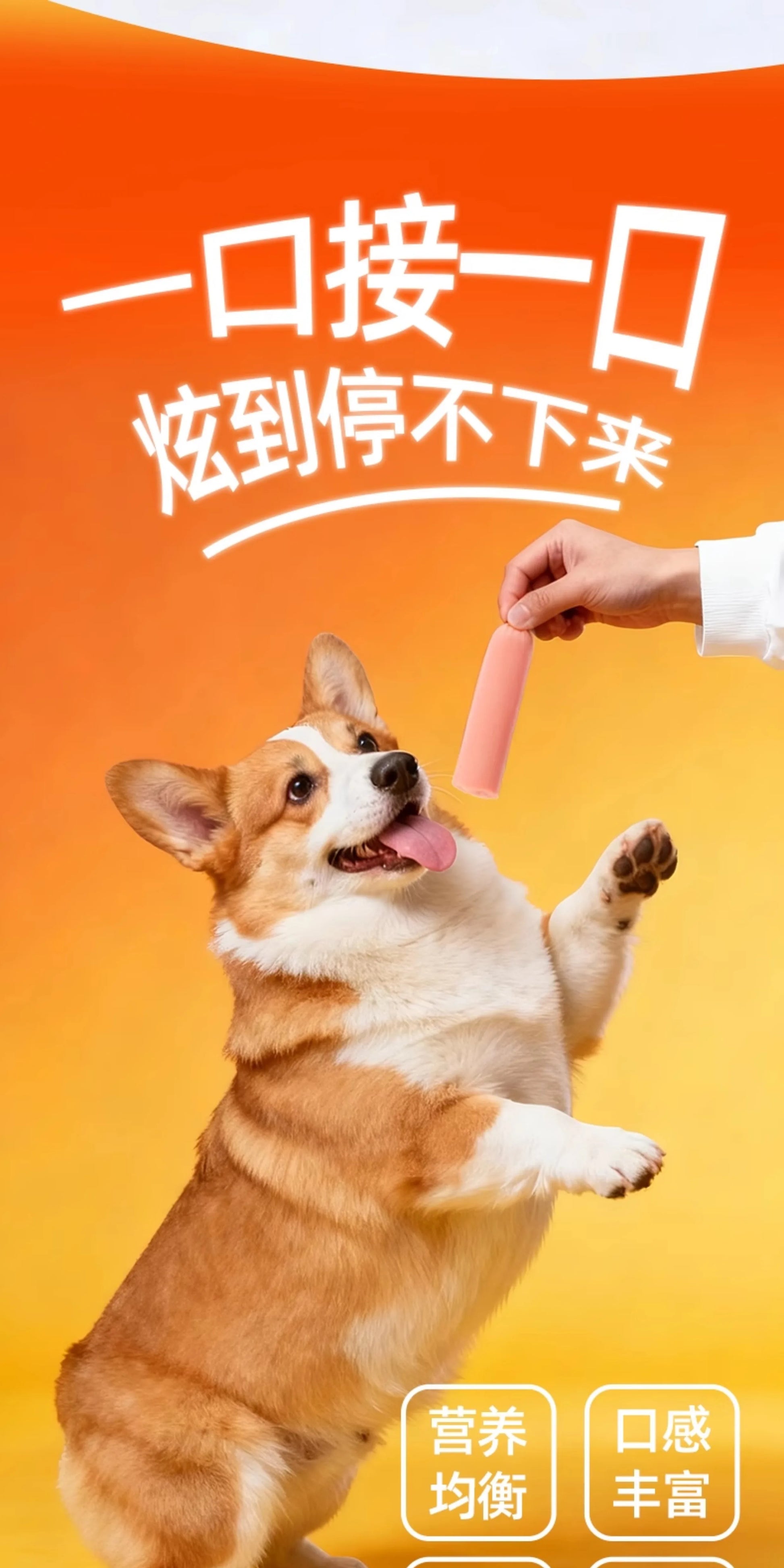 朗仕狗狗火腿肠训练宠物零食泰迪伴粮低盐小型犬幼犬猫香肠大礼包