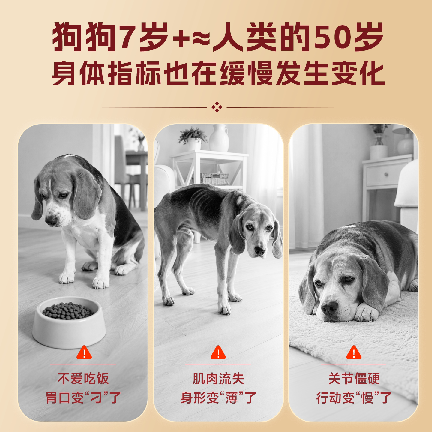 【新品】麦富迪原生7岁以上老年狗狗专用原生鲜鸡肉轻脂犬粮1.5kg