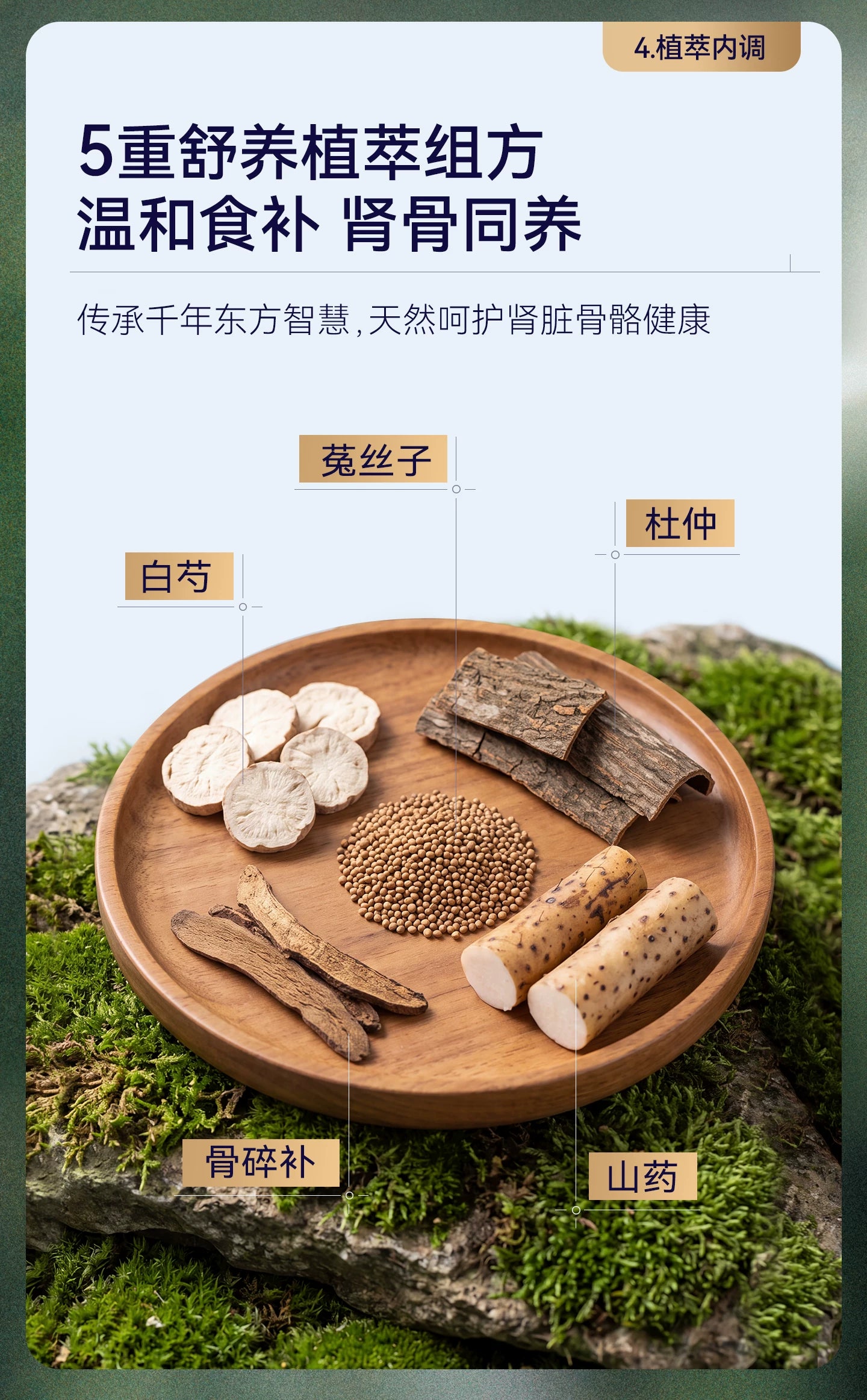 【新品】麦富迪barf霸弗猫粮7岁以上老年猫咪专用生骨肉营养猫粮