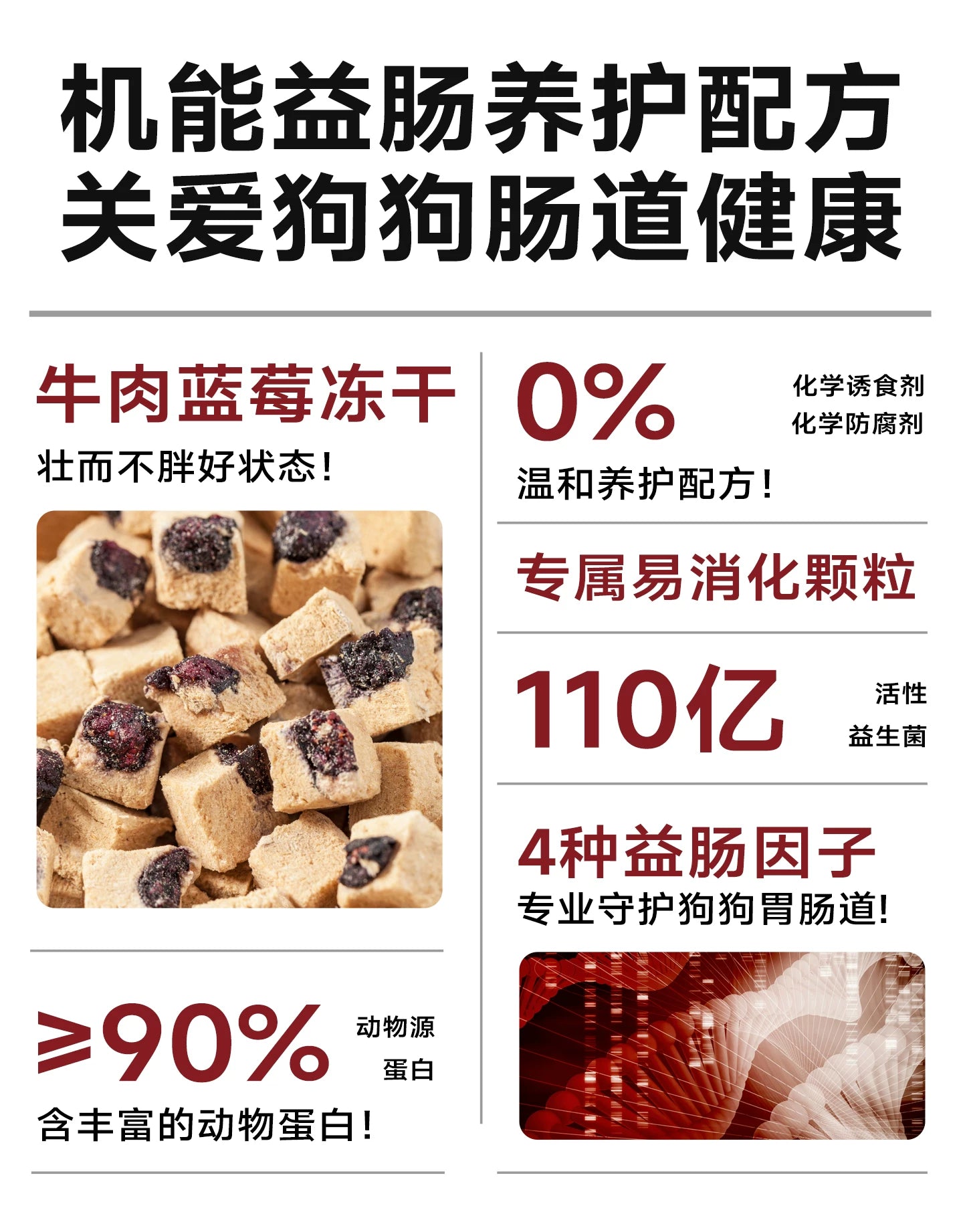 麦富迪狗粮牛肉蓝莓双拼泰迪金毛成犬幼犬粮小型犬官方旗舰店正品