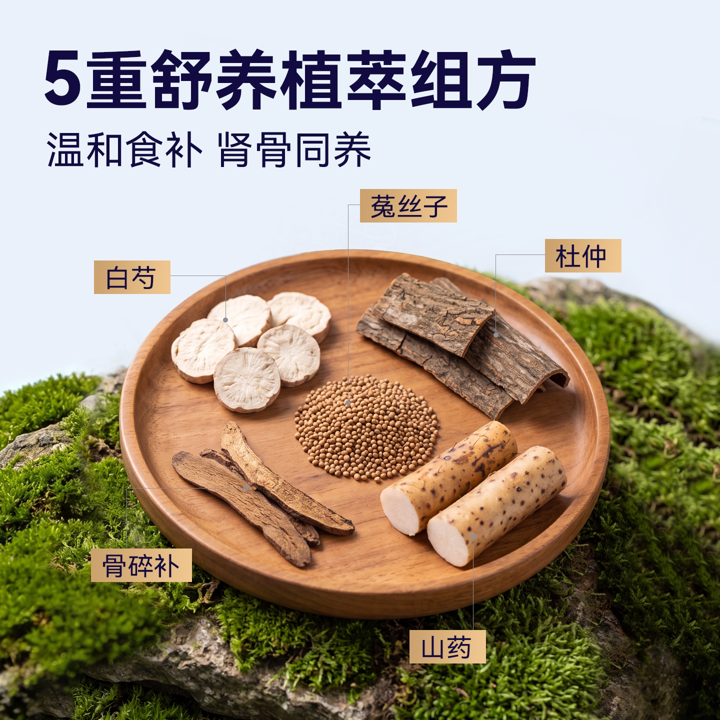 【新品】麦富迪barf霸弗猫粮7岁以上老年猫咪专用生骨肉营养猫粮