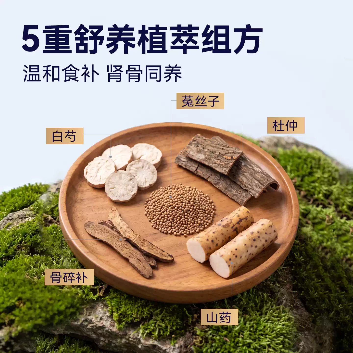 【新品】麦富迪barf霸弗猫粮7岁以上老年猫咪专用生骨肉营养猫粮
