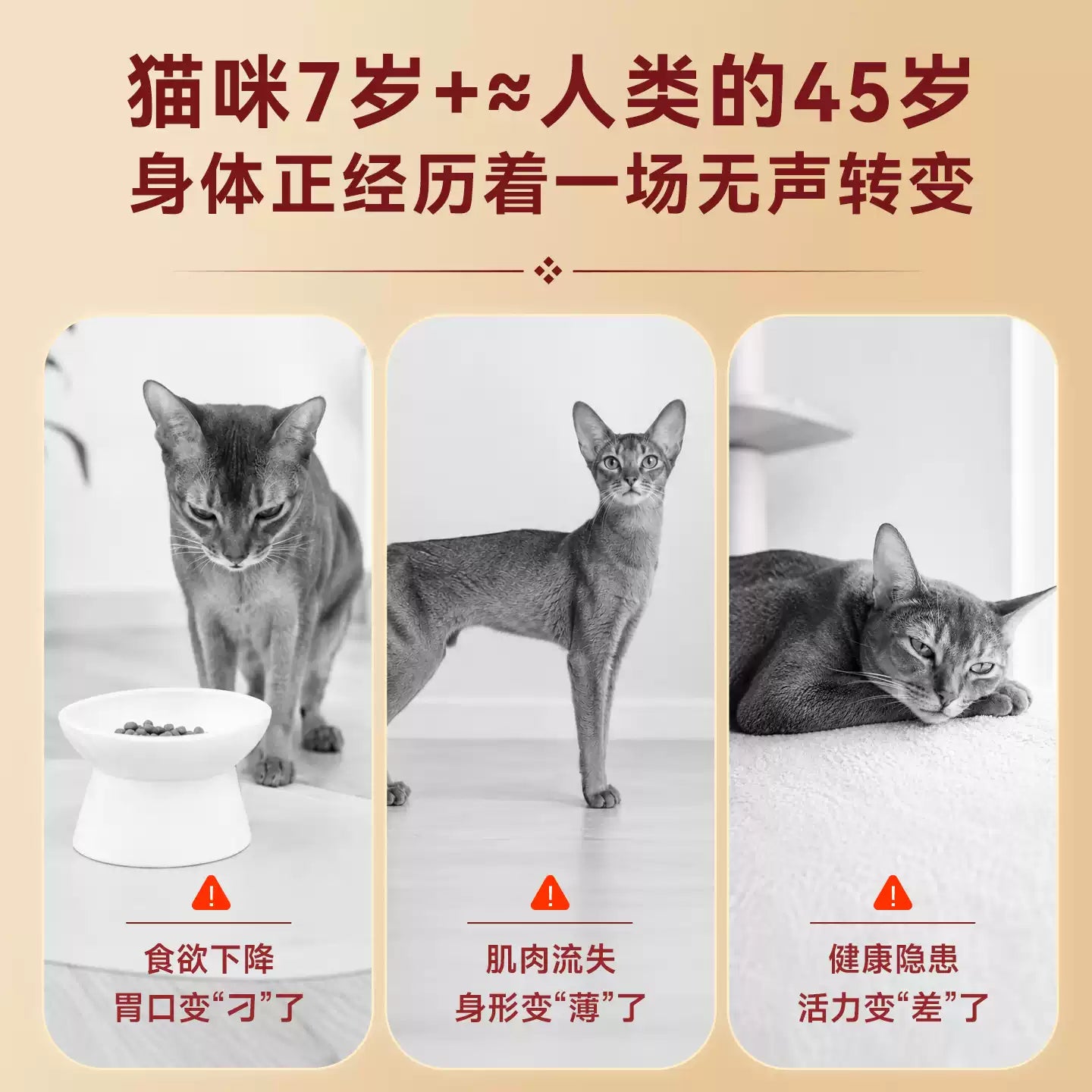 【新品】麦富迪猫粮7岁以上老年猫咪专用原生鲜鸡肉低磷猫粮1.5kg