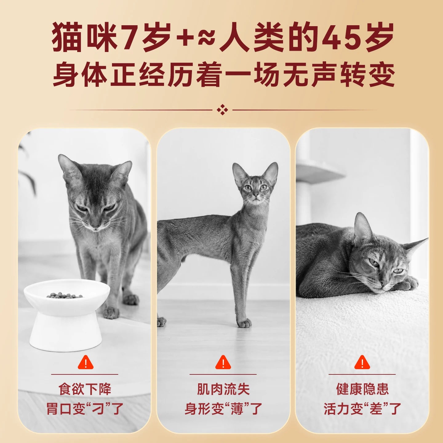 【新品】麦富迪猫粮7岁以上老年猫咪专用原生鲜鸡肉低磷猫粮1.5kg