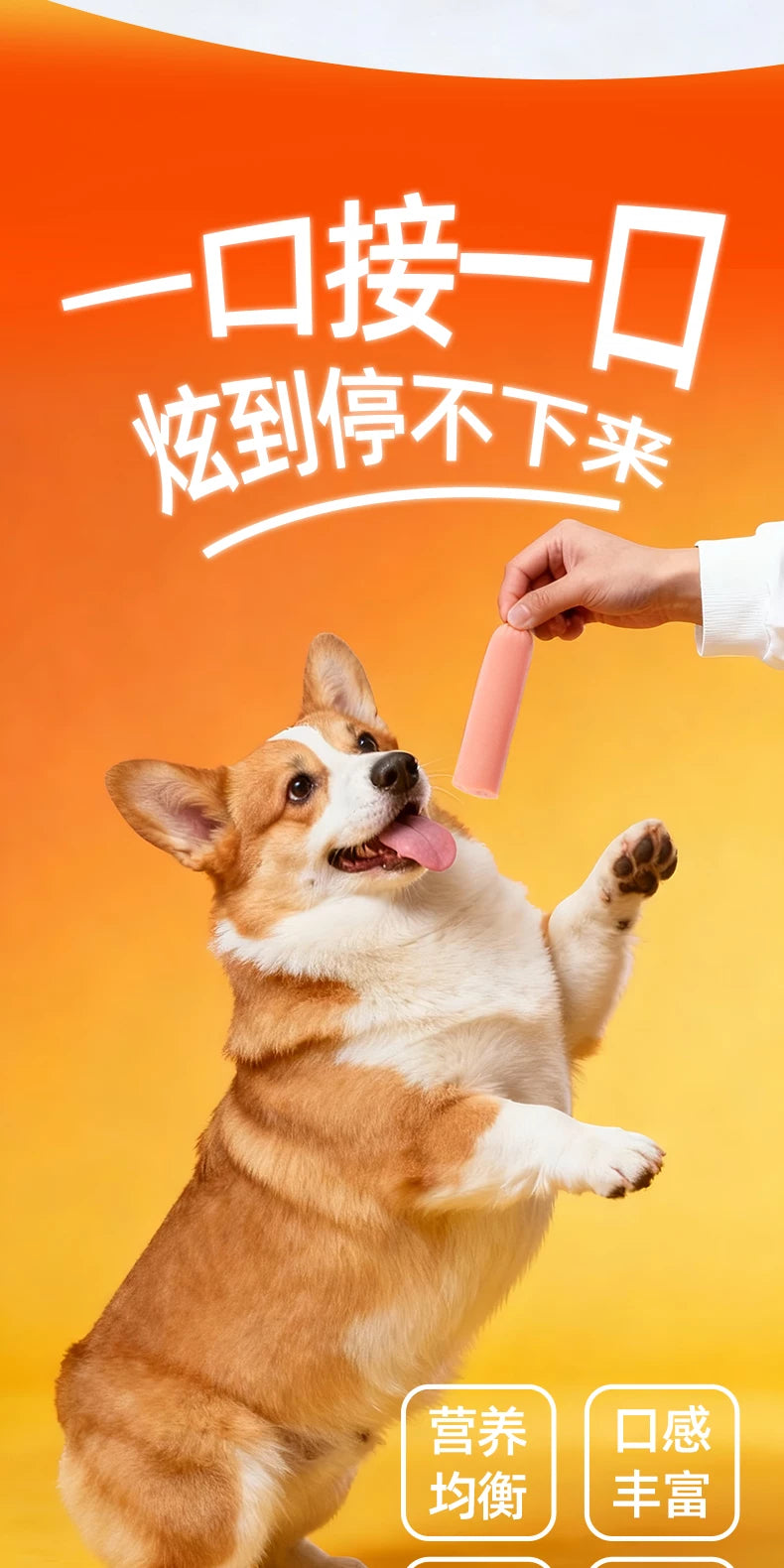 朗仕狗狗火腿肠猫狗零食宠物火腿肠营养长肉小狗香肠小型犬试吃