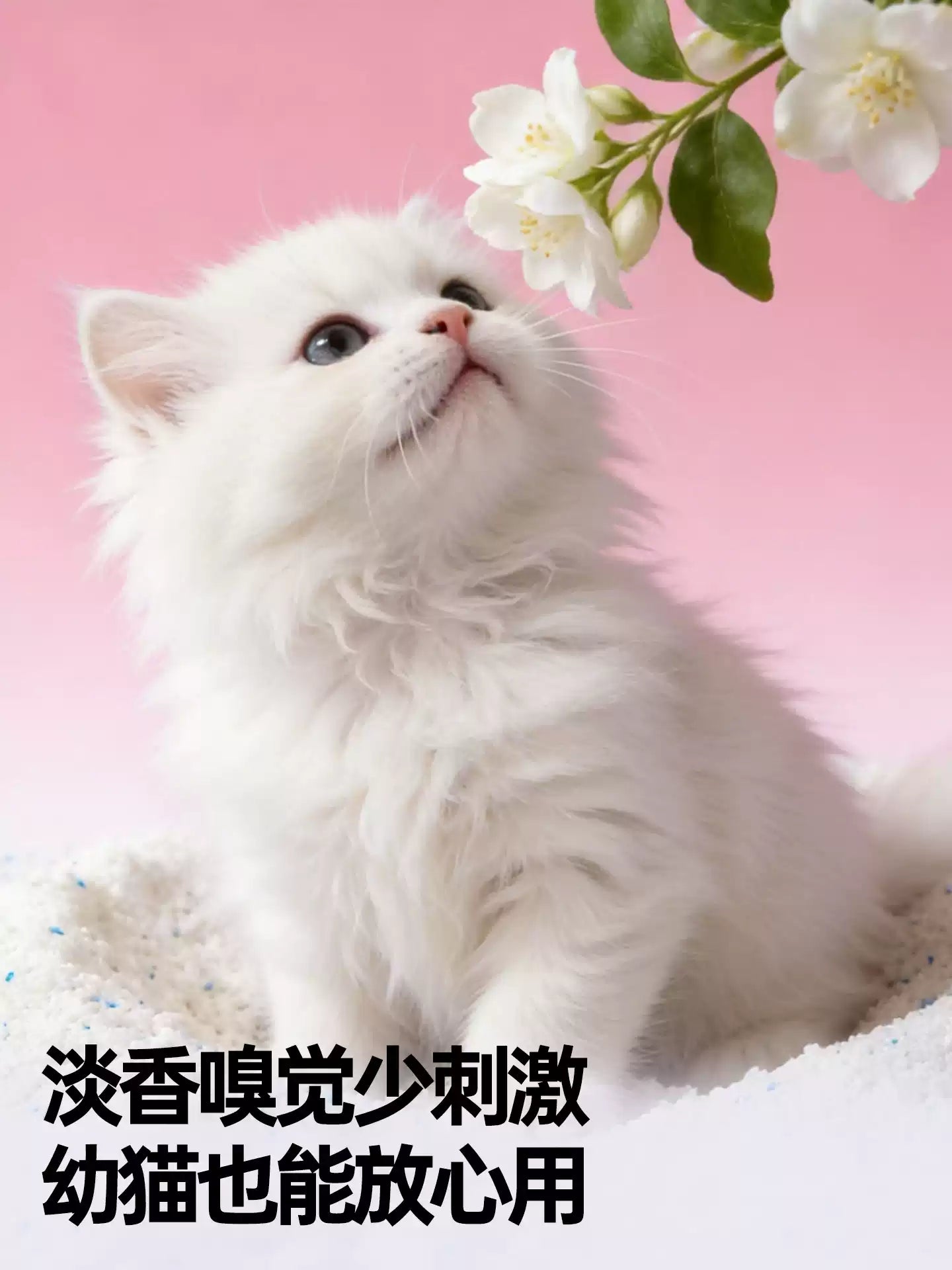 朗仕纯木薯猫砂除臭混合结团植物豆腐膨润土猫沙近无尘防臭不粘底