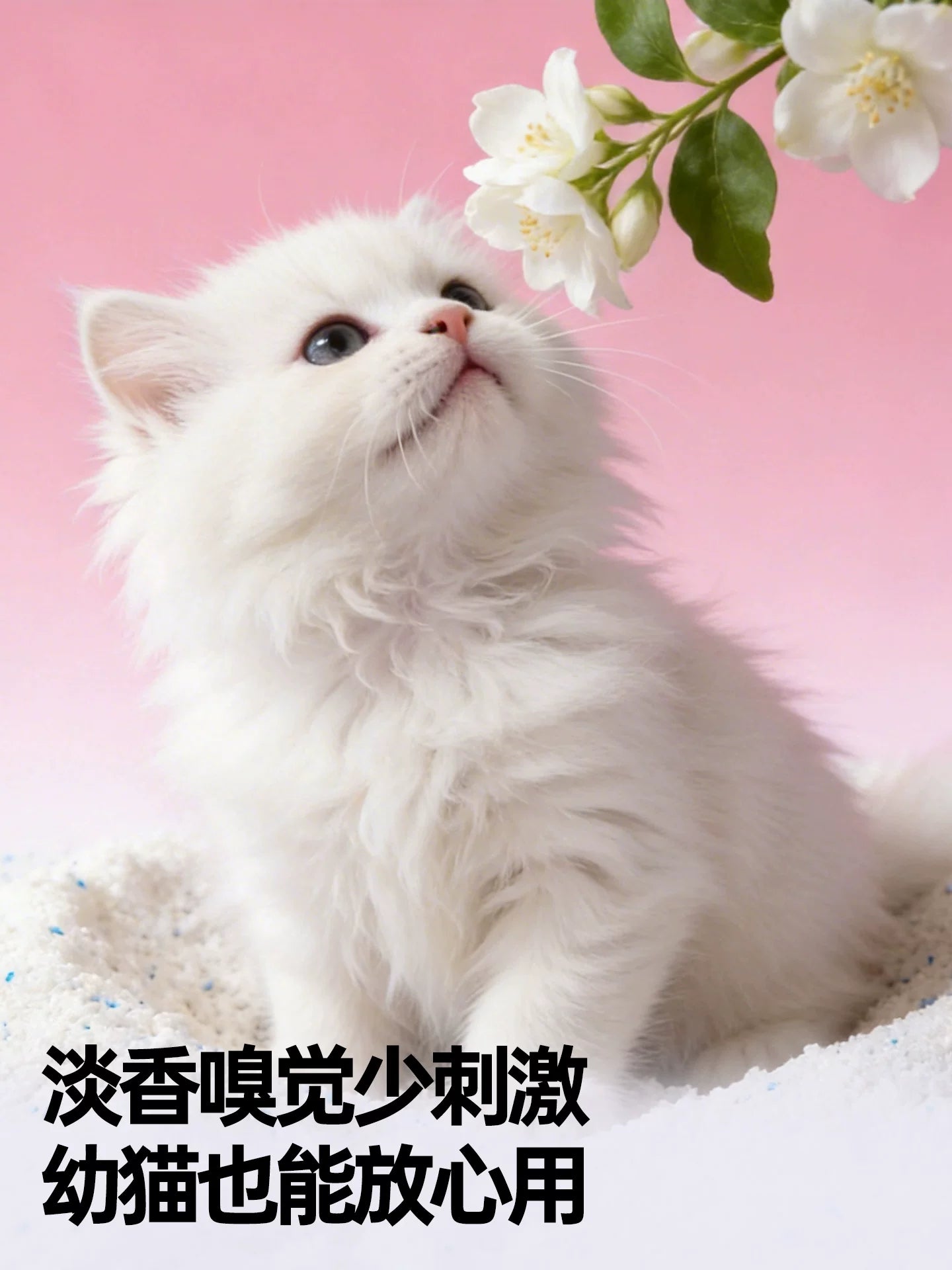 朗仕纯木薯猫砂除臭混合结团植物豆腐膨润土猫沙近无尘防臭不粘底