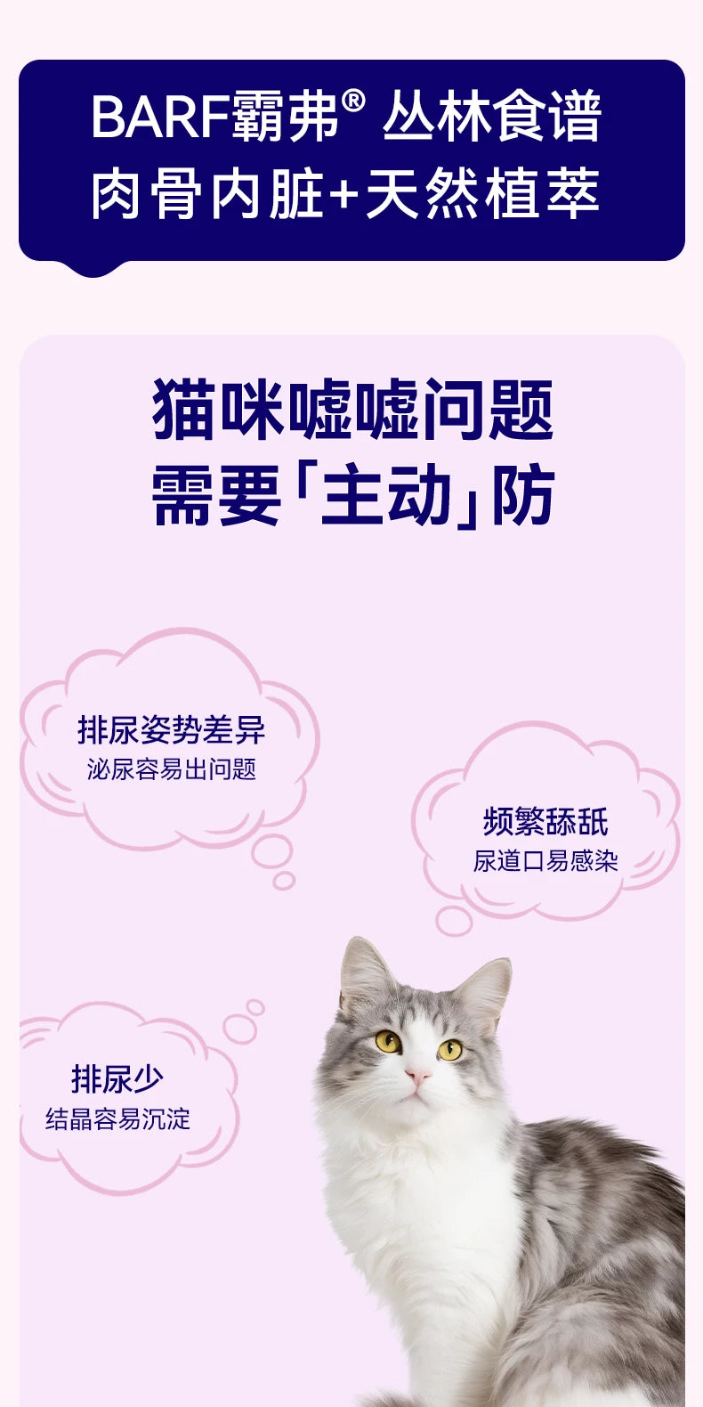 麦富迪猫零食barf霸弗主食猫条成幼猫咪互动零食奖励营养猫条80支