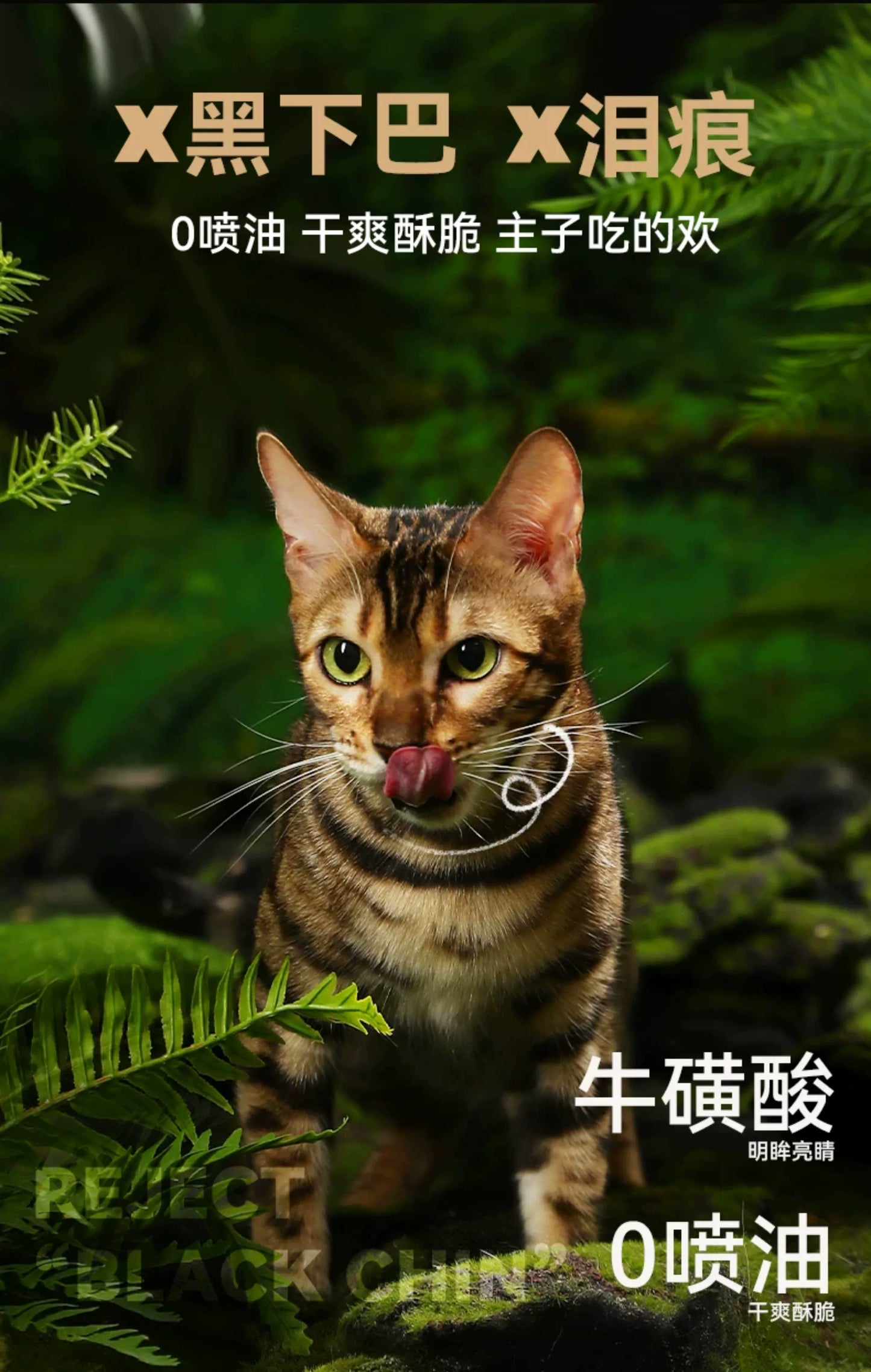 朗仕低温烘焙猫粮成幼猫粮试吃鲜肉烘培冻干布偶猫咪专用全价无谷