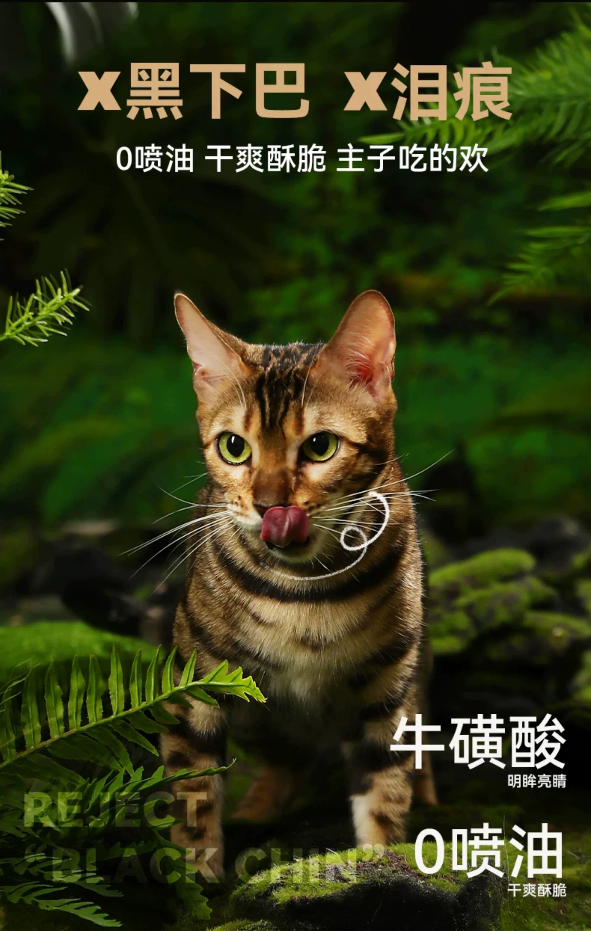 朗仕低温烘焙猫粮成幼猫粮试吃鲜肉烘培冻干布偶猫咪专用全价无谷