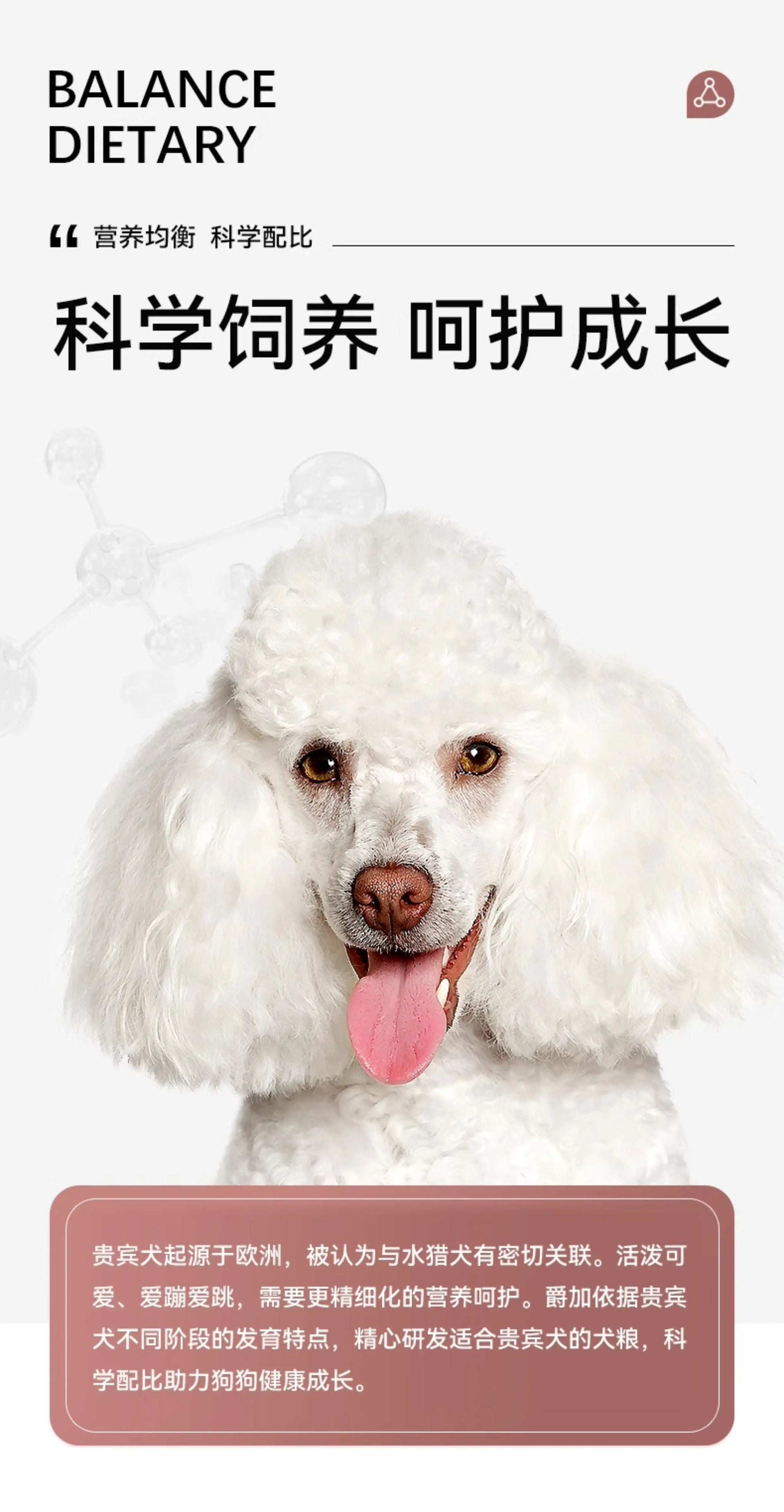 爵加小型犬狗粮贵宾犬泰迪比熊专用美毛成犬幼犬大小型犬通用5斤