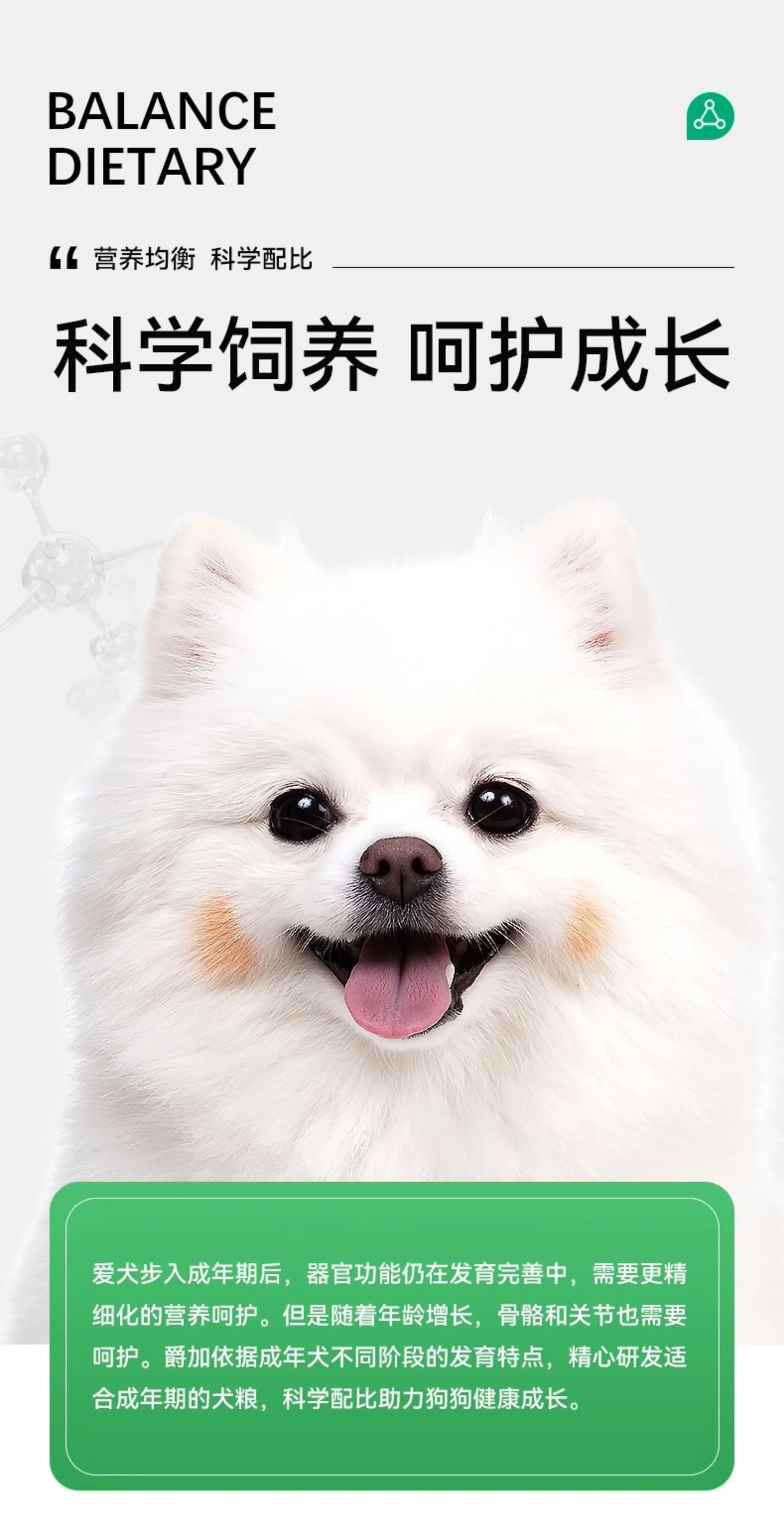 爵加狗粮1.5kg泰迪专用粮金毛比熊拉布拉多博美通用型成犬粮3斤装