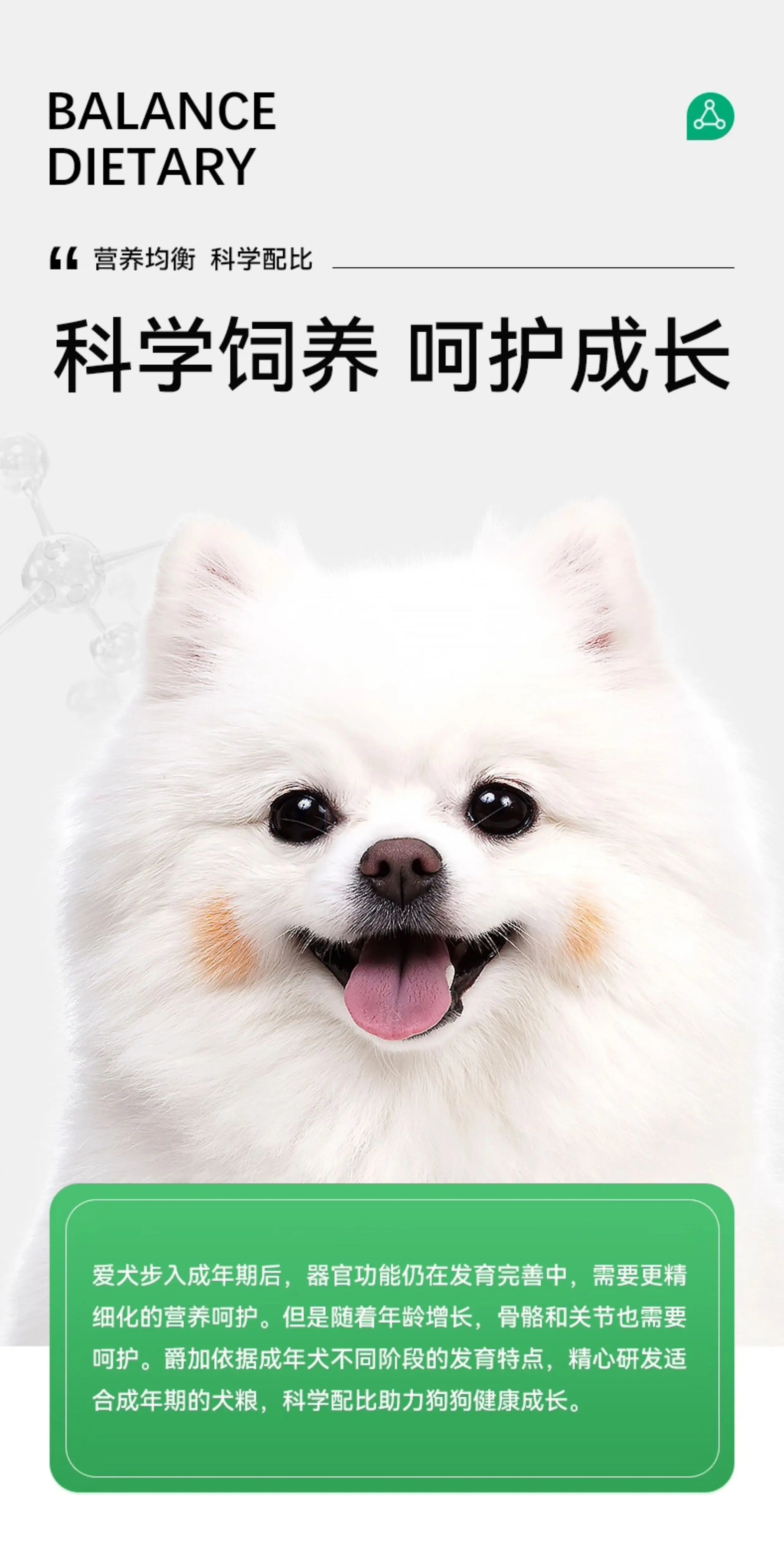 爵加狗粮1.5kg泰迪专用粮金毛比熊拉布拉多博美通用型成犬粮3斤装