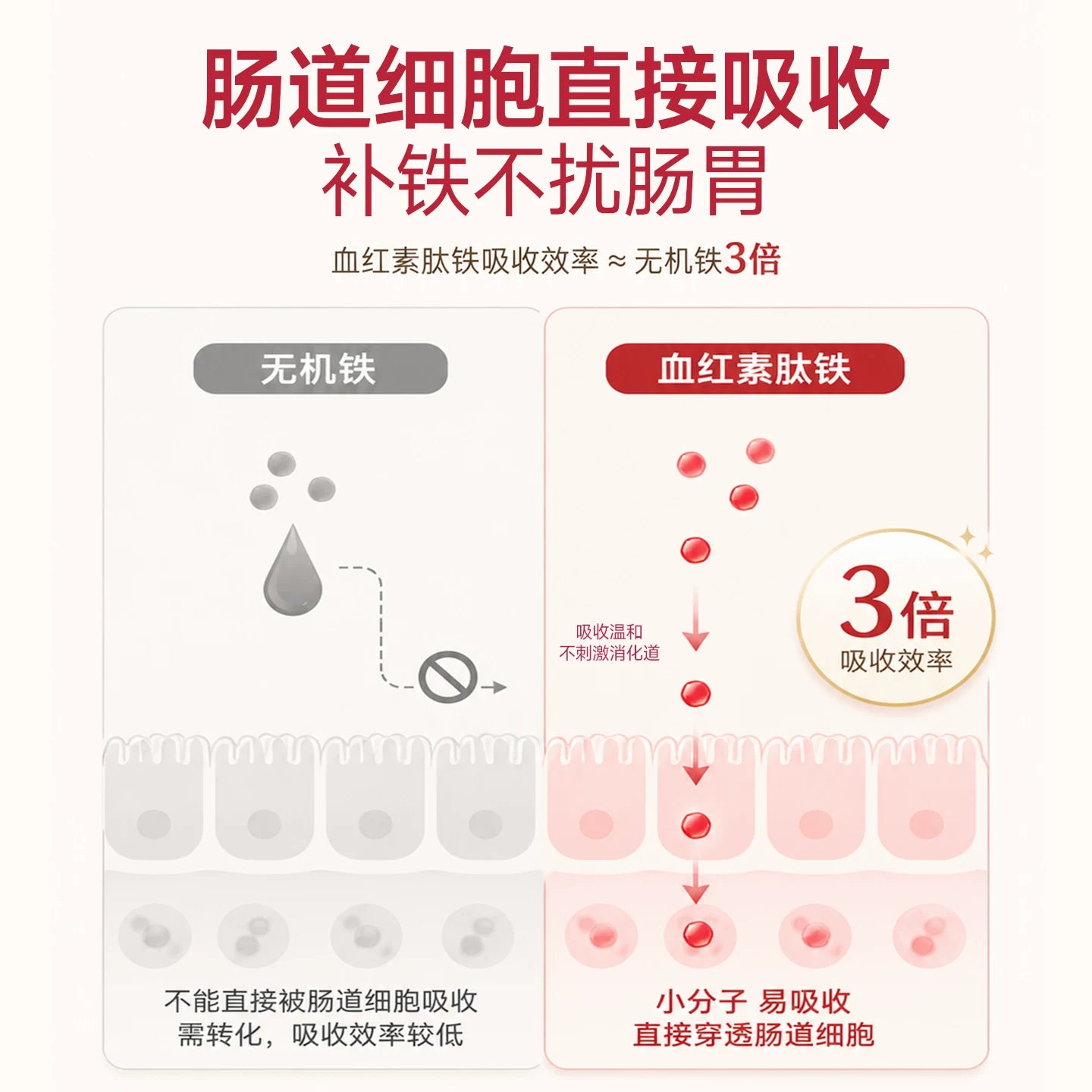 【新品】麦富迪猫零食元气养护主食冻干Fe铁营养补血成幼猫通用