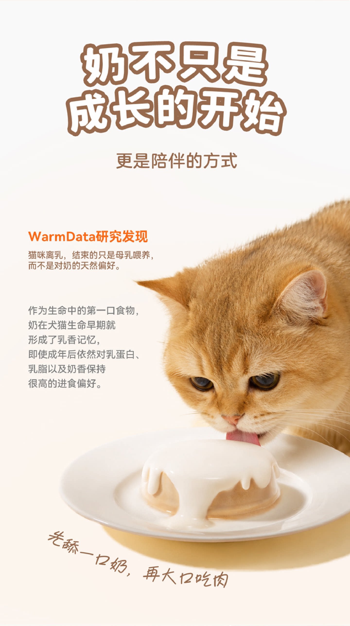 【新品】麦富迪奶弗奶萃布丁主食罐猫零食全价成幼猫咪罐头湿粮