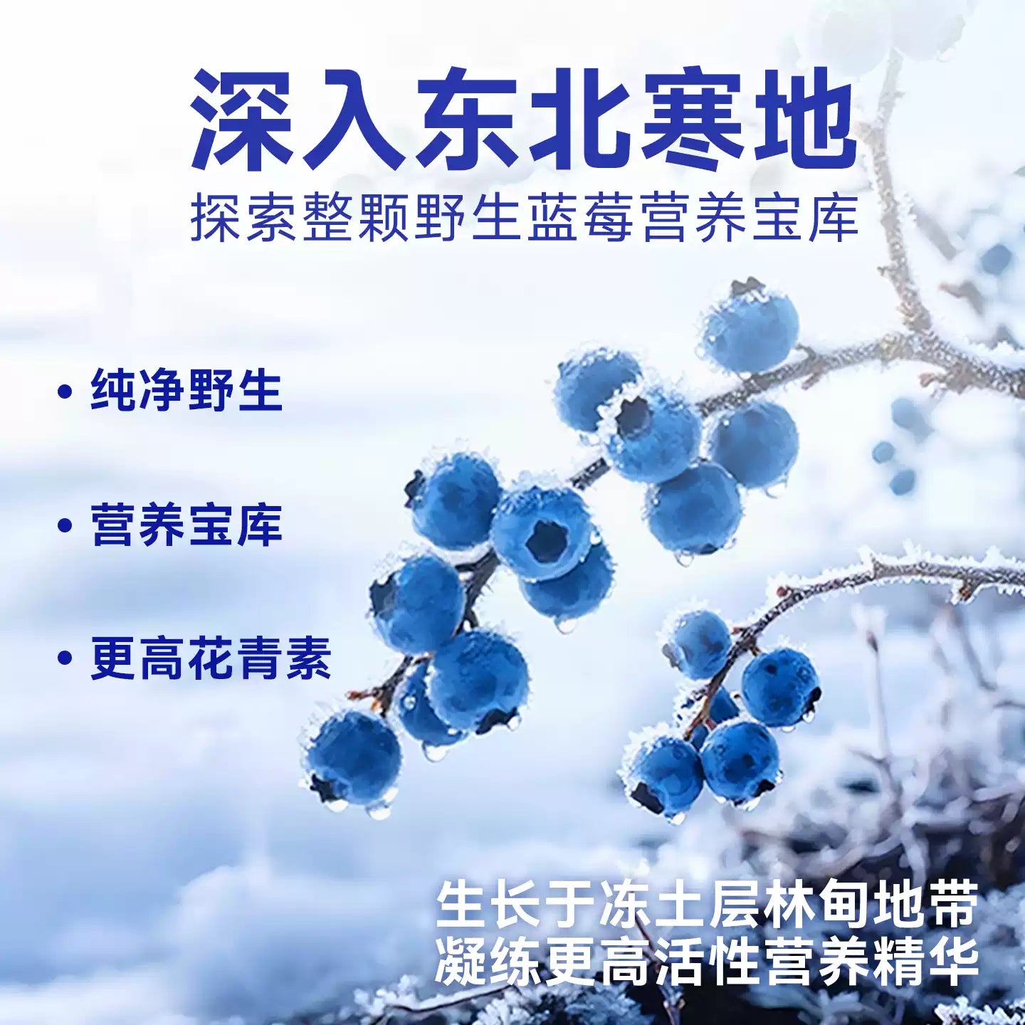 麦富迪狗狗零食冻干仙果肉宠物鲜肉磨牙棒小型犬冻干狗零食鲜果