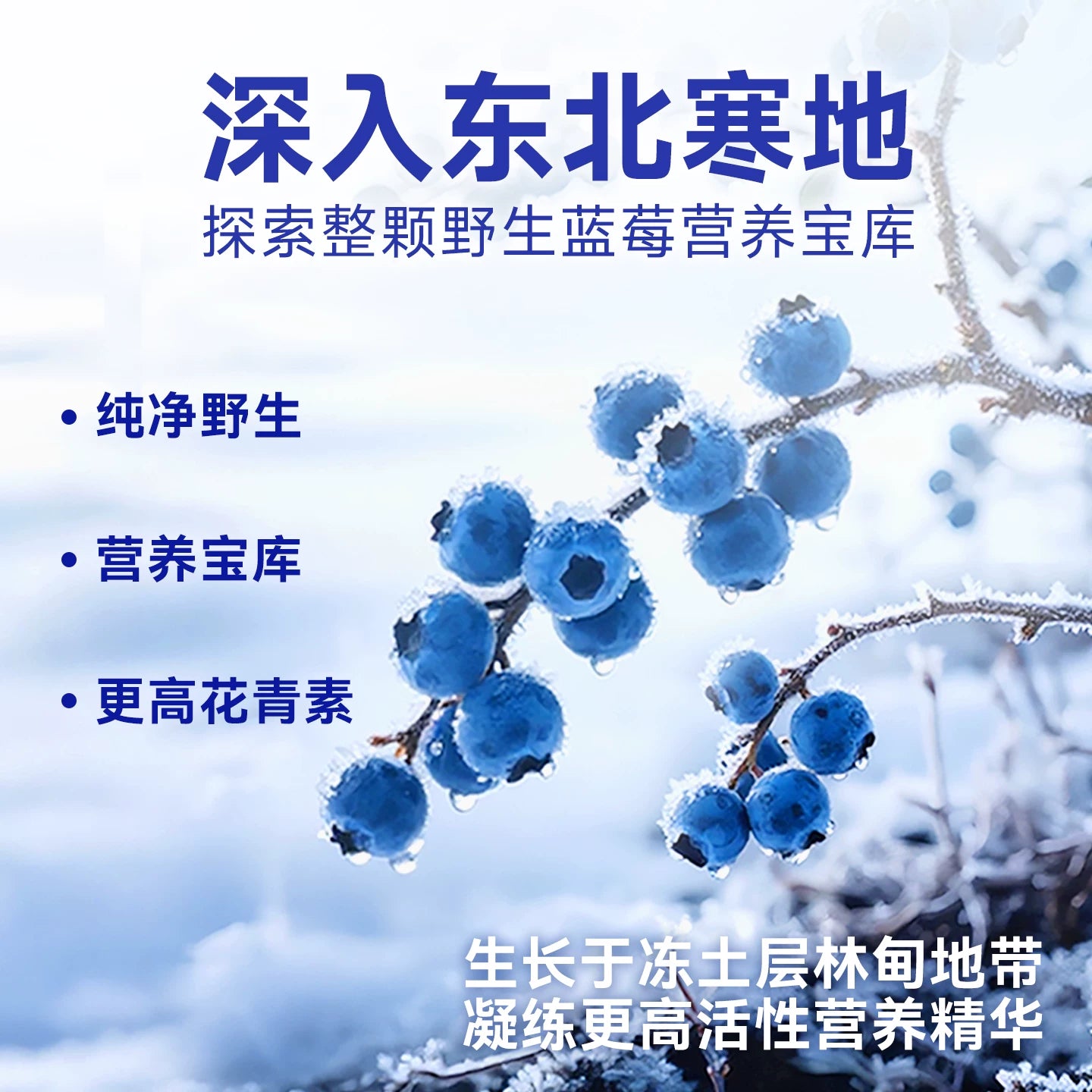 麦富迪狗狗零食冻干仙果肉宠物鲜肉磨牙棒小型犬冻干狗零食鲜果