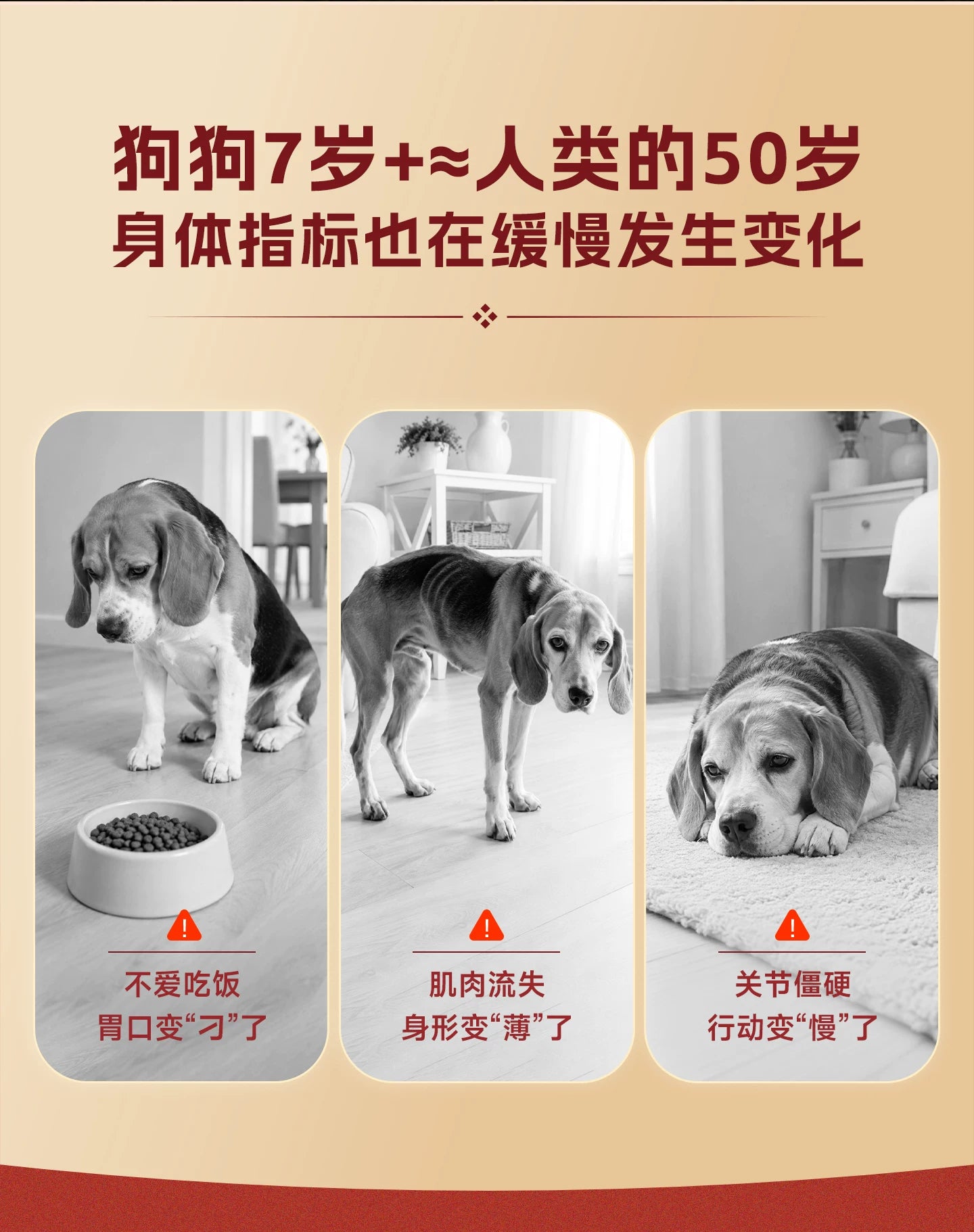 【新品】麦富迪原生7岁以上老年狗狗专用原生鲜鸡肉轻脂犬粮1.5kg