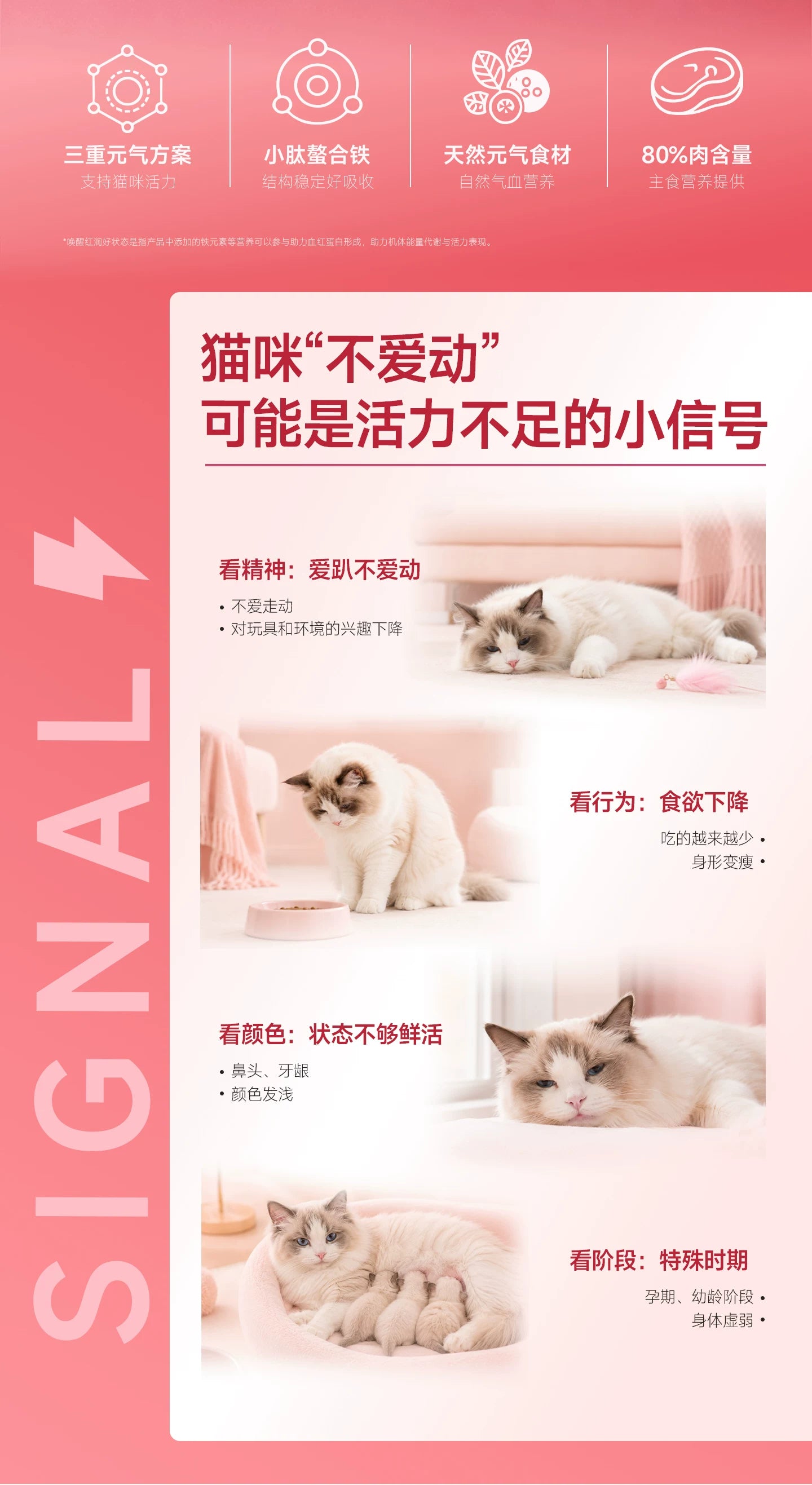 【新品】麦富迪猫零食元气养护主食冻干Fe铁营养补血成幼猫通用