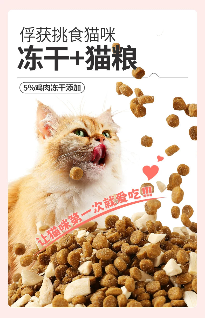 朗仕猫粮幼猫成猫含乳铁蛋白营养英美短布偶专用鲜肉全价旗舰试吃