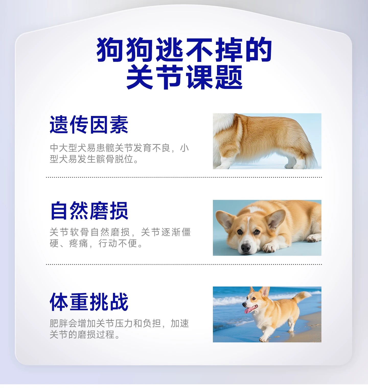麦富迪甄珠鱼油鲨鱼软骨素宠物狗狗保护关节修复健骨补钙小分子