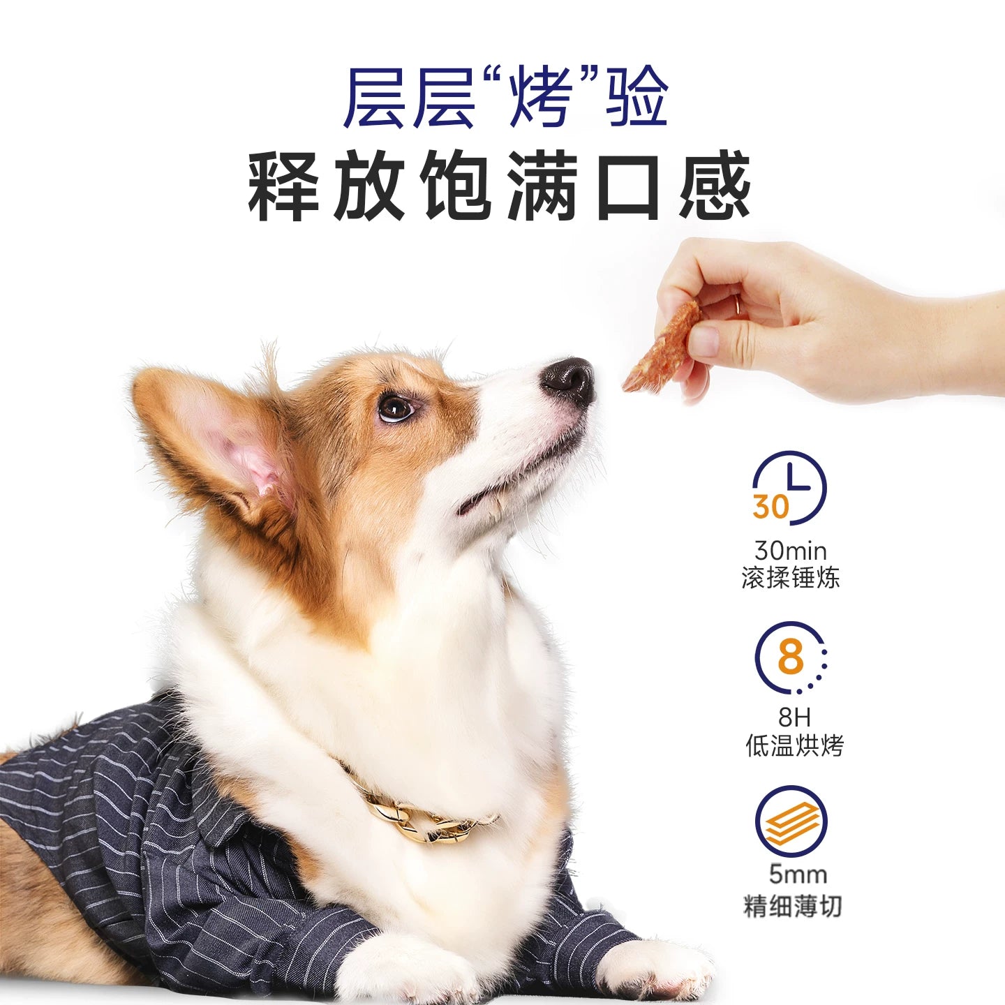 麦富迪狗狗零食鸡肉干薄切肉脯泰迪幼犬小型犬狗零食宠物零食225g