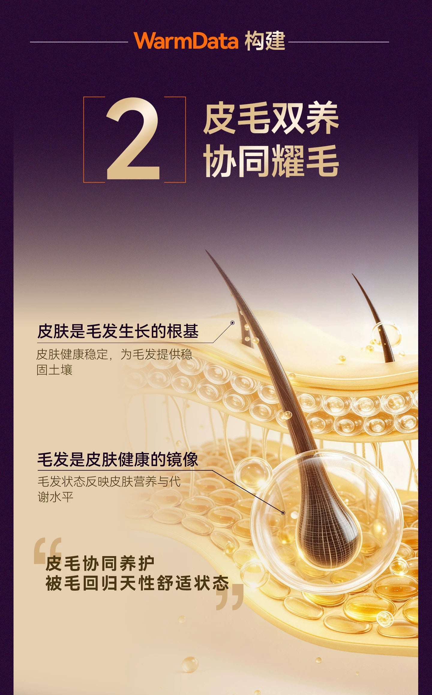 【新升级】麦富迪舒然猫粮2.0美毛益肤三重耀毛成猫幼猫粮通用2kg