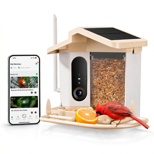 AI智能观鸟摄像头户外庭院喂鸟器WiFi远程监控AI鸟类识别厂家批发